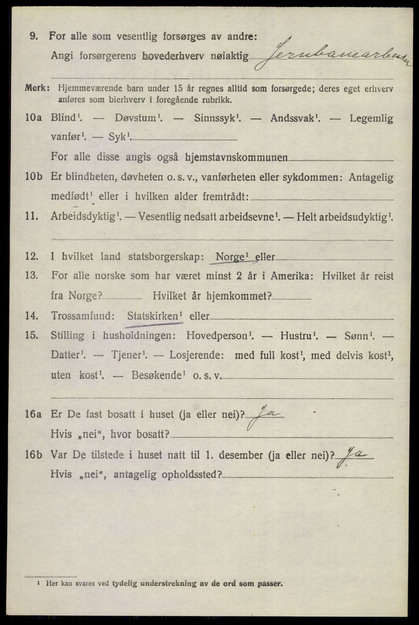 SAKO, 1920 census for Nes (Buskerud), 1920, p. 5005