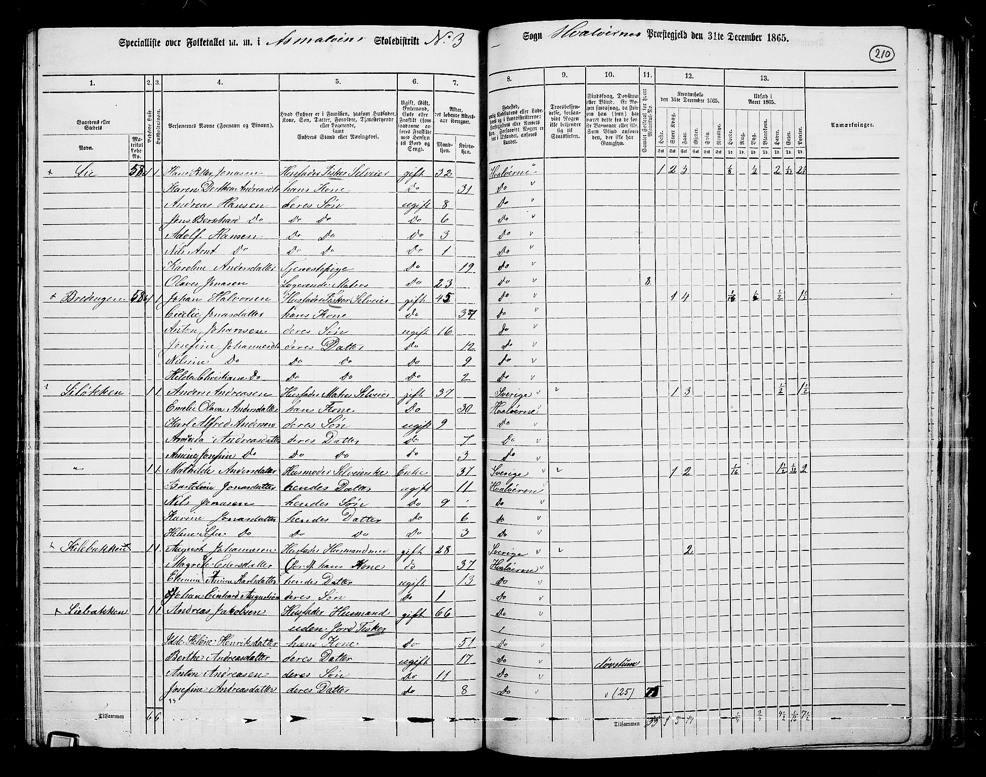 RA, 1865 census for Hvaler, 1865, p. 50