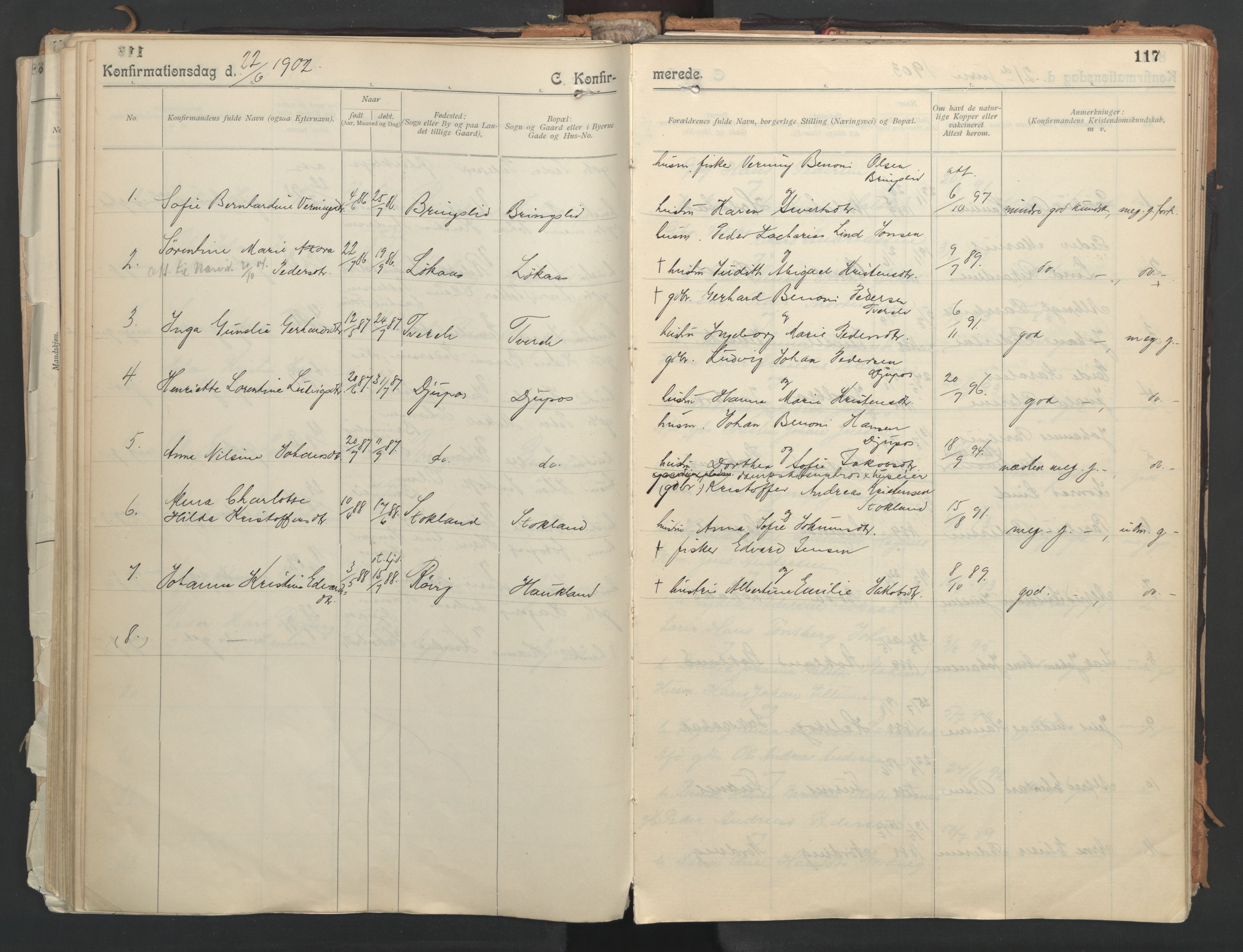 Ministerialprotokoller, klokkerbøker og fødselsregistre - Nordland, AV/SAT-A-1459/851/L0724: Parish register (official) no. 851A01, 1901-1922, p. 117