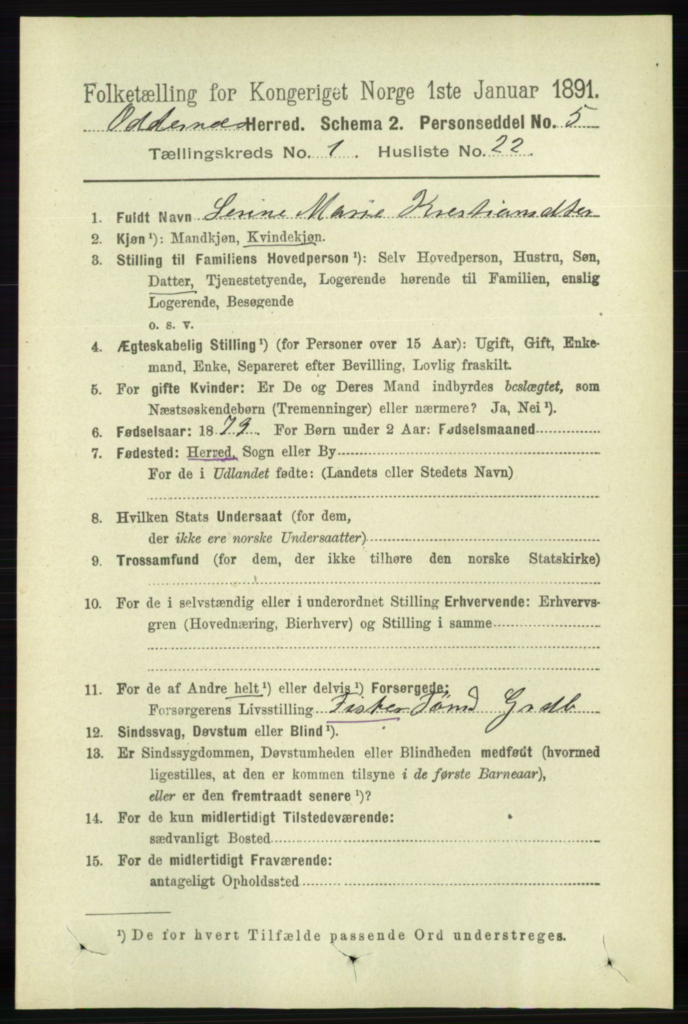 RA, 1891 census for 1012 Oddernes, 1891, p. 244