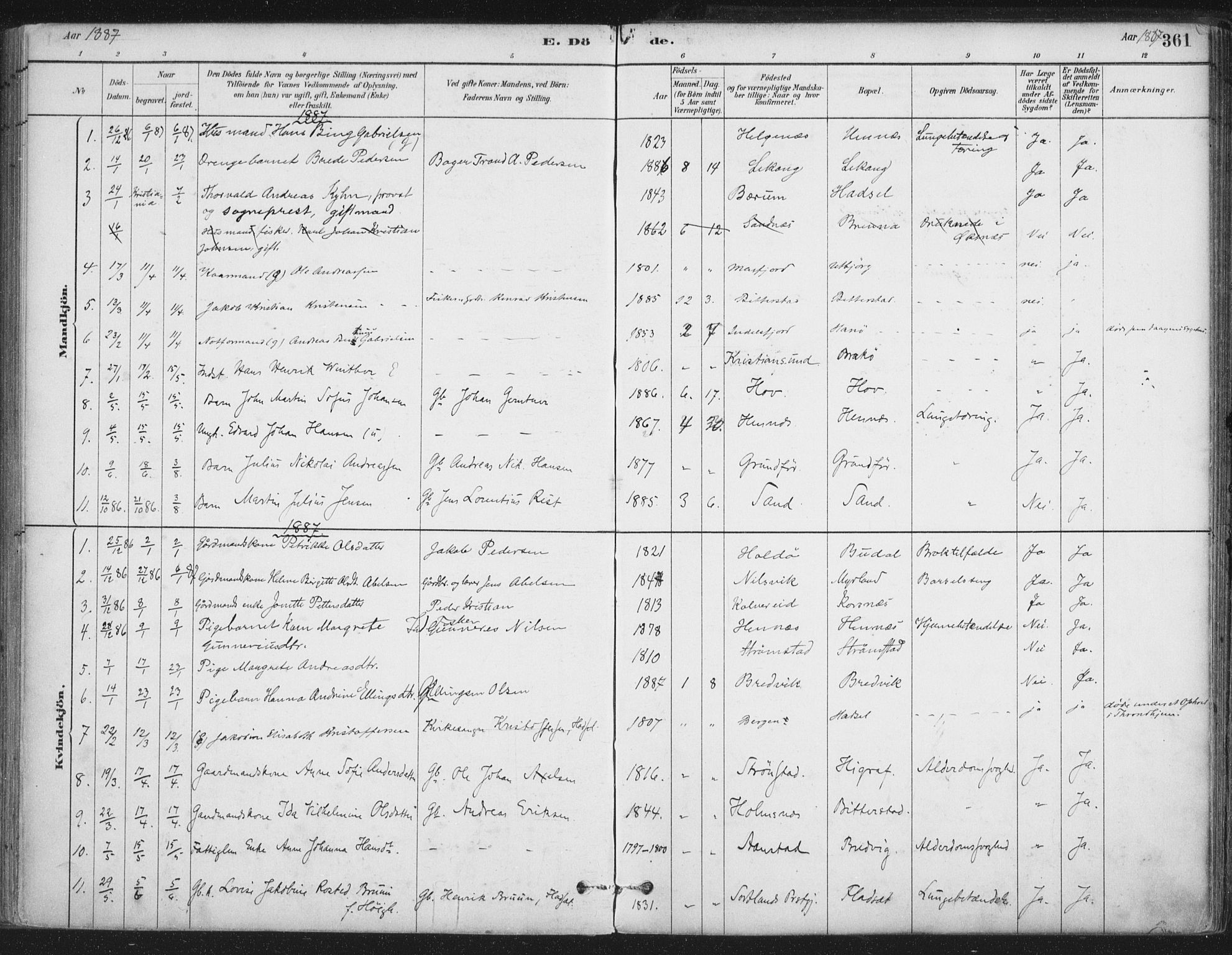 Ministerialprotokoller, klokkerbøker og fødselsregistre - Nordland, AV/SAT-A-1459/888/L1244: Parish register (official) no. 888A10, 1880-1890, p. 361