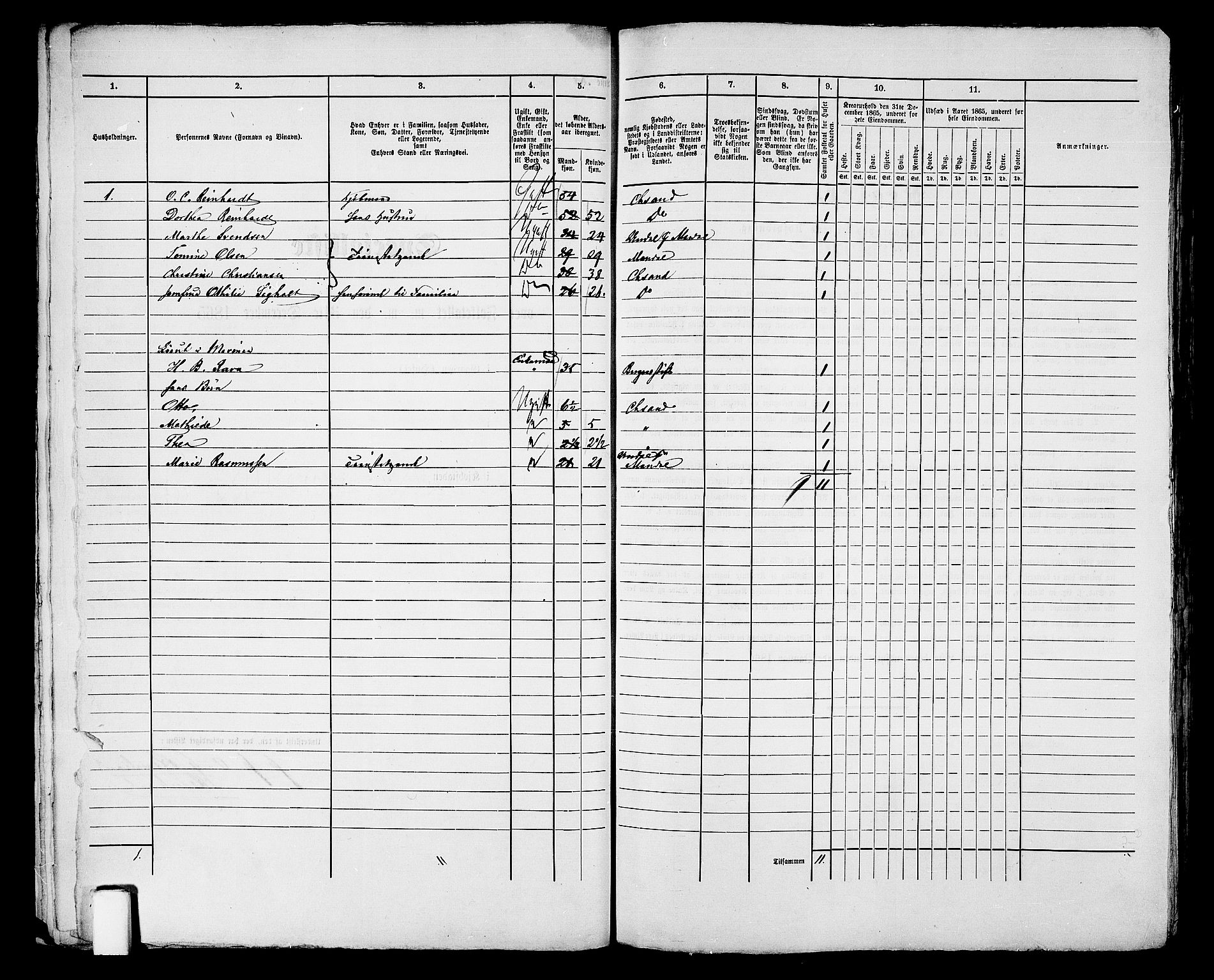 RA, 1865 census for Kristiansand, 1865, p. 1564