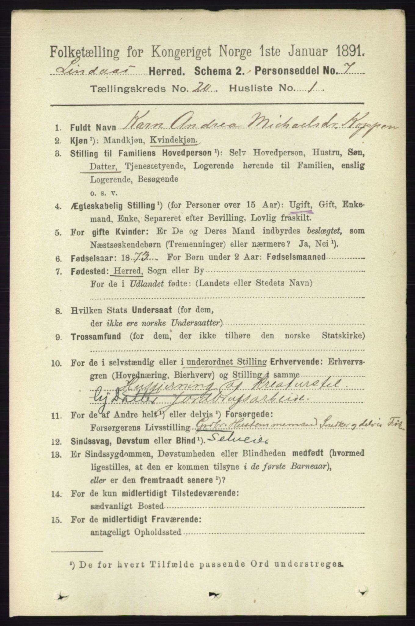 RA, 1891 census for 1263 Lindås, 1891, p. 7358