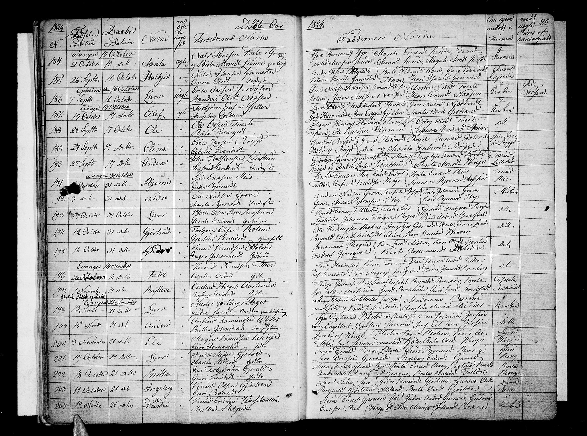 Voss sokneprestembete, SAB/A-79001/H/Haa: Parish register (official) no. A 12, 1823-1837, p. 20