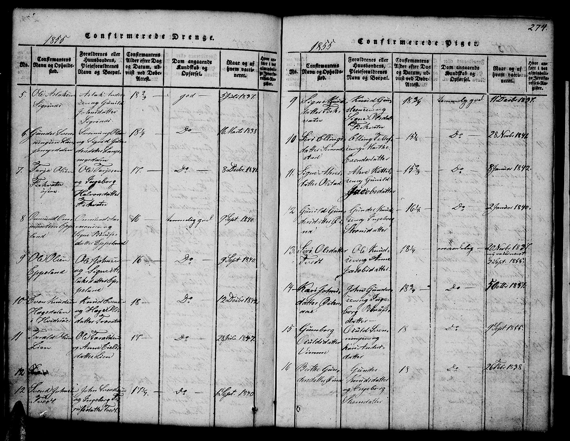 Åmli sokneprestkontor, AV/SAK-1111-0050/F/Fb/Fbc/L0001: Parish register (copy) no. B 1, 1816-1867, p. 274