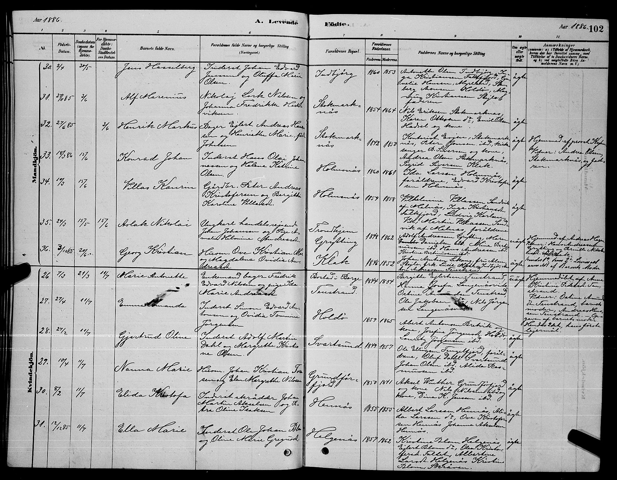 Ministerialprotokoller, klokkerbøker og fødselsregistre - Nordland, AV/SAT-A-1459/888/L1267: Parish register (copy) no. 888C05, 1878-1890, p. 102