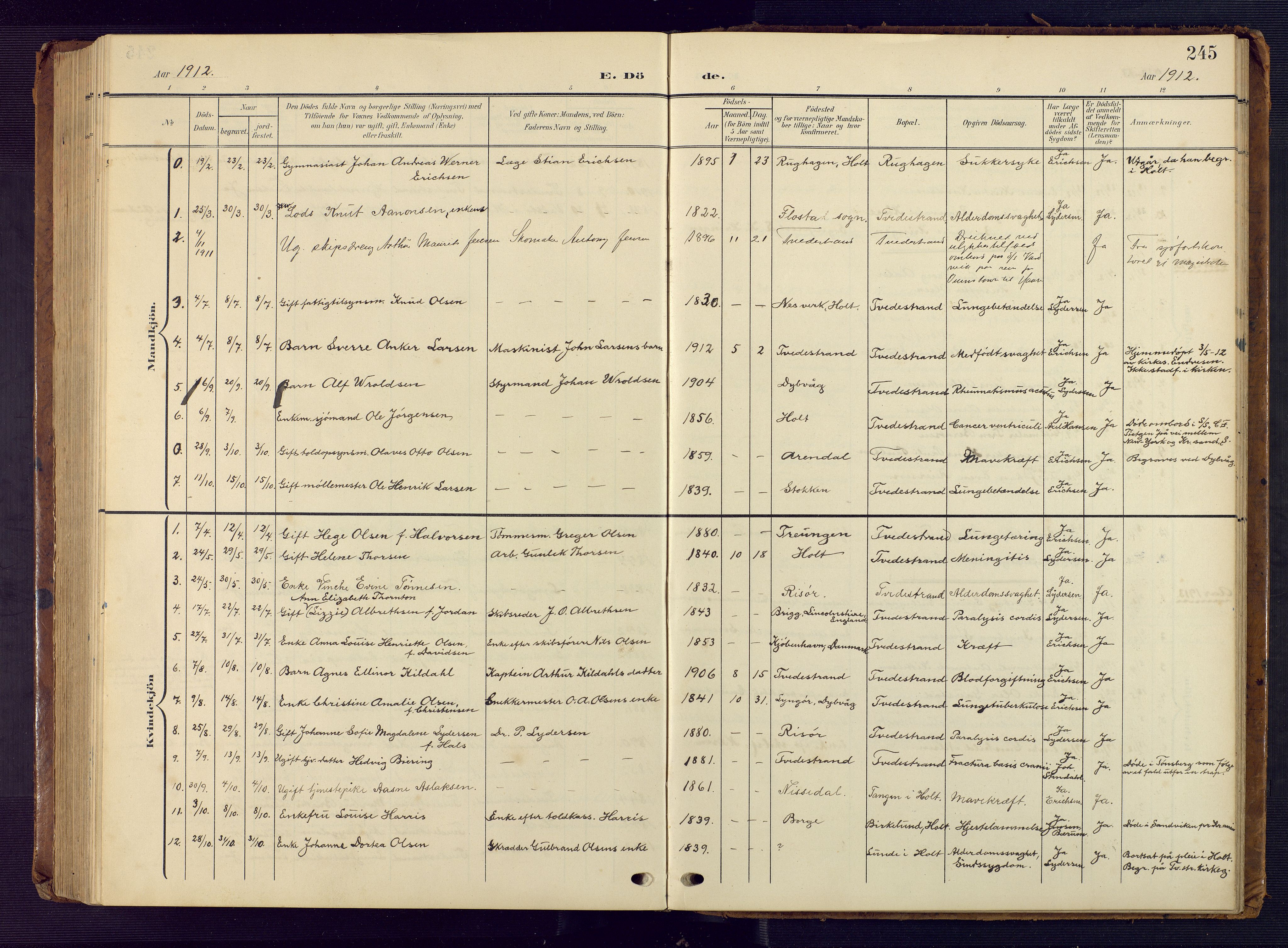 Tvedestrand sokneprestkontor, AV/SAK-1111-0042/F/Fb/L0001: Parish register (copy) no. B 1, 1902-1956, p. 245