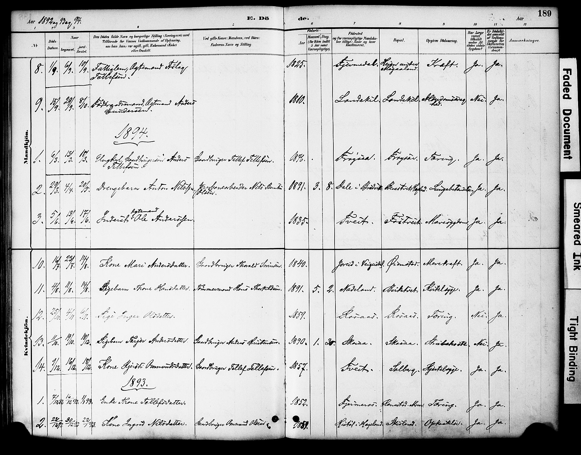 Evje sokneprestkontor, AV/SAK-1111-0008/F/Fa/Fac/L0003: Parish register (official) no. A 3, 1884-1909, p. 189