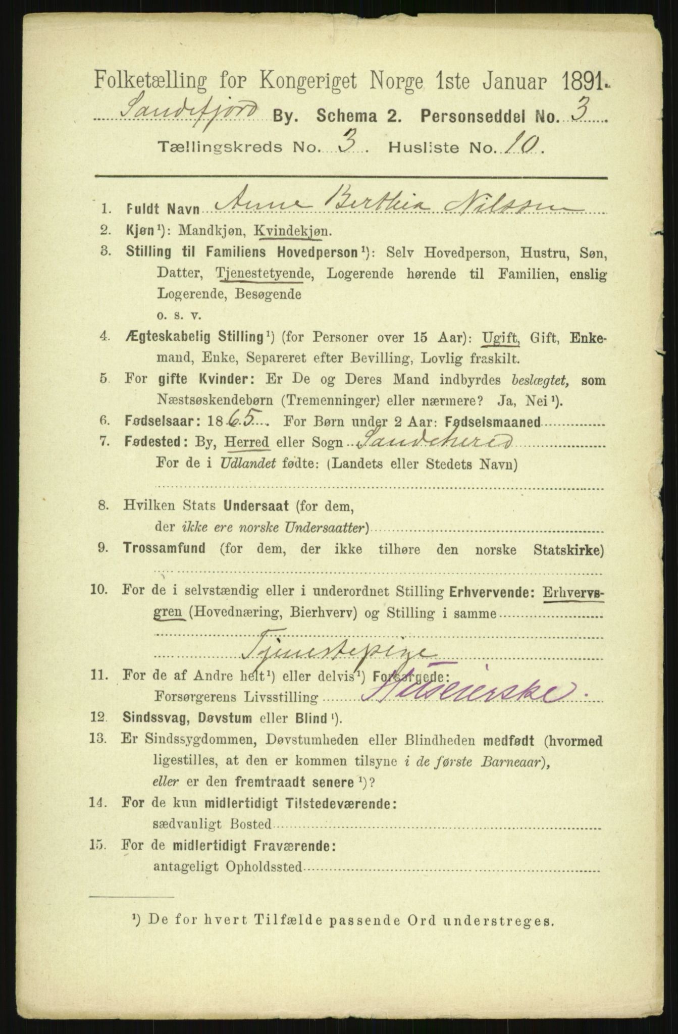 RA, 1891 census for 0706 Sandefjord, 1891, p. 4074