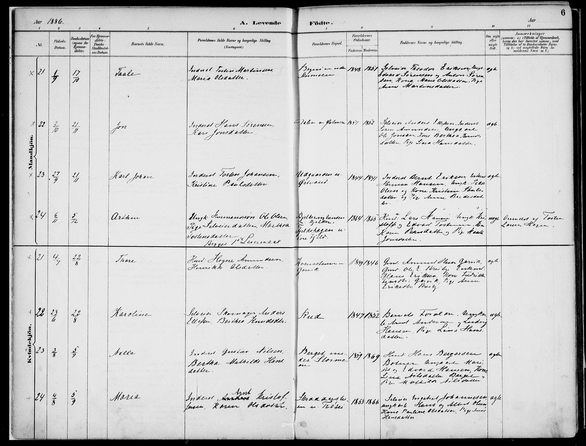 Nord-Odal prestekontor, AV/SAH-PREST-032/H/Ha/Haa/L0008: Parish register (official) no. 8, 1886-1901, p. 6