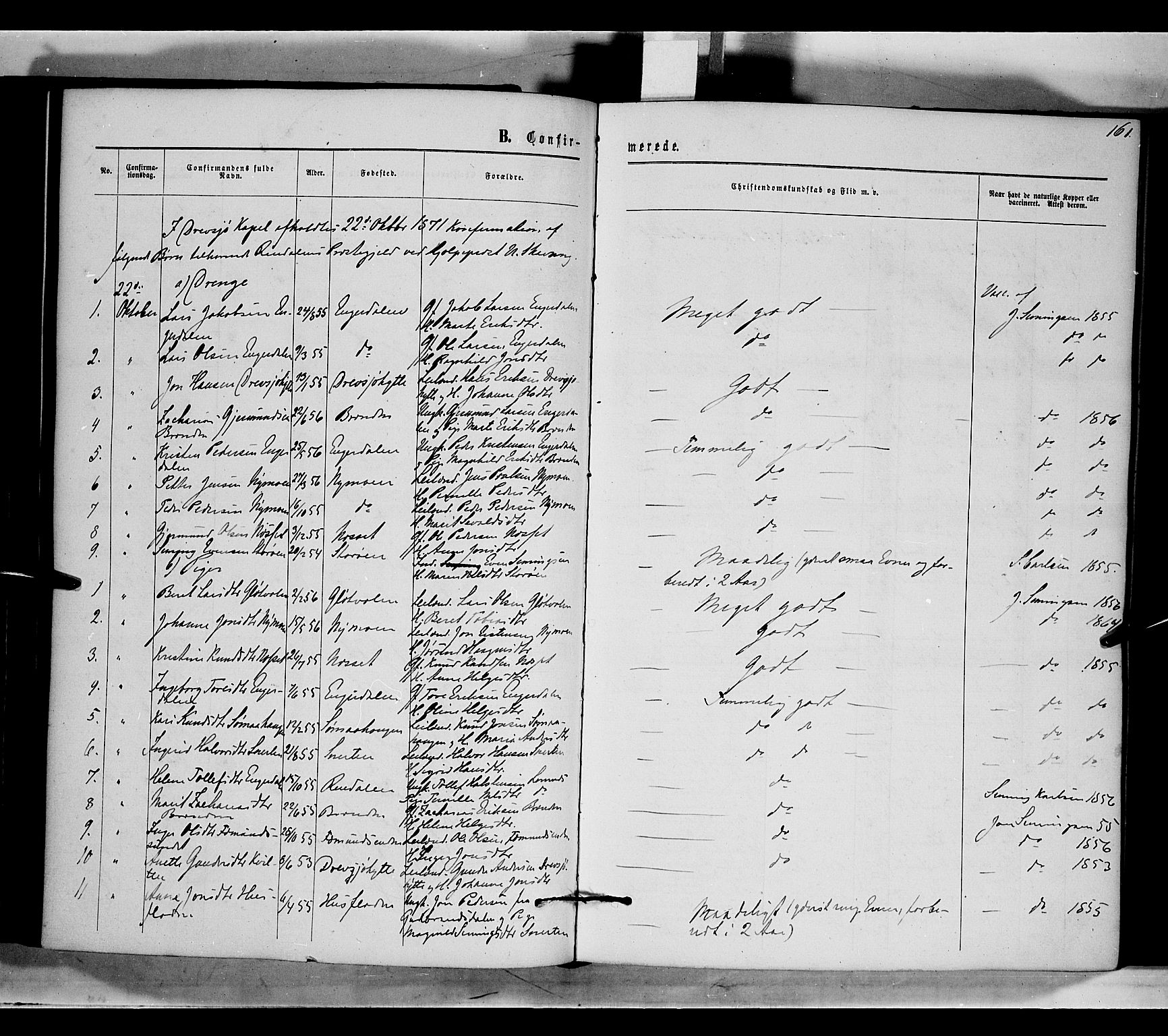 Rendalen prestekontor, AV/SAH-PREST-054/H/Ha/Haa/L0006: Parish register (official) no. 6, 1867-1877, p. 161