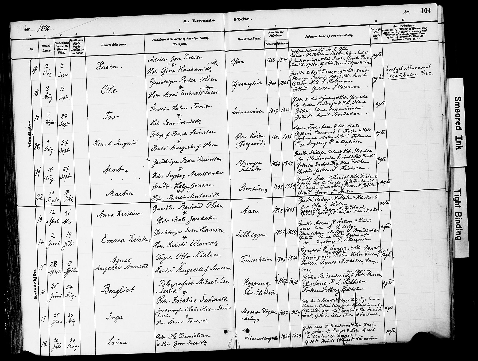 Tynset prestekontor, AV/SAH-PREST-058/H/Ha/Haa/L0022: Parish register (official) no. 22, 1880-1899, p. 104