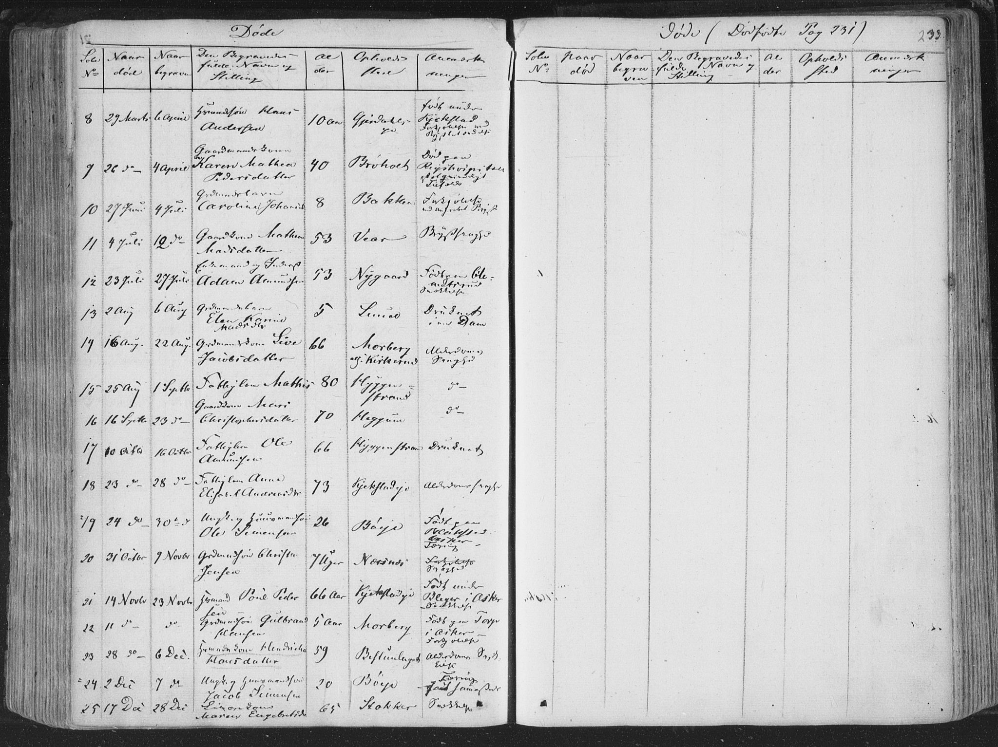 Røyken kirkebøker, SAKO/A-241/F/Fa/L0005: Parish register (official) no. 5, 1833-1856, p. 233