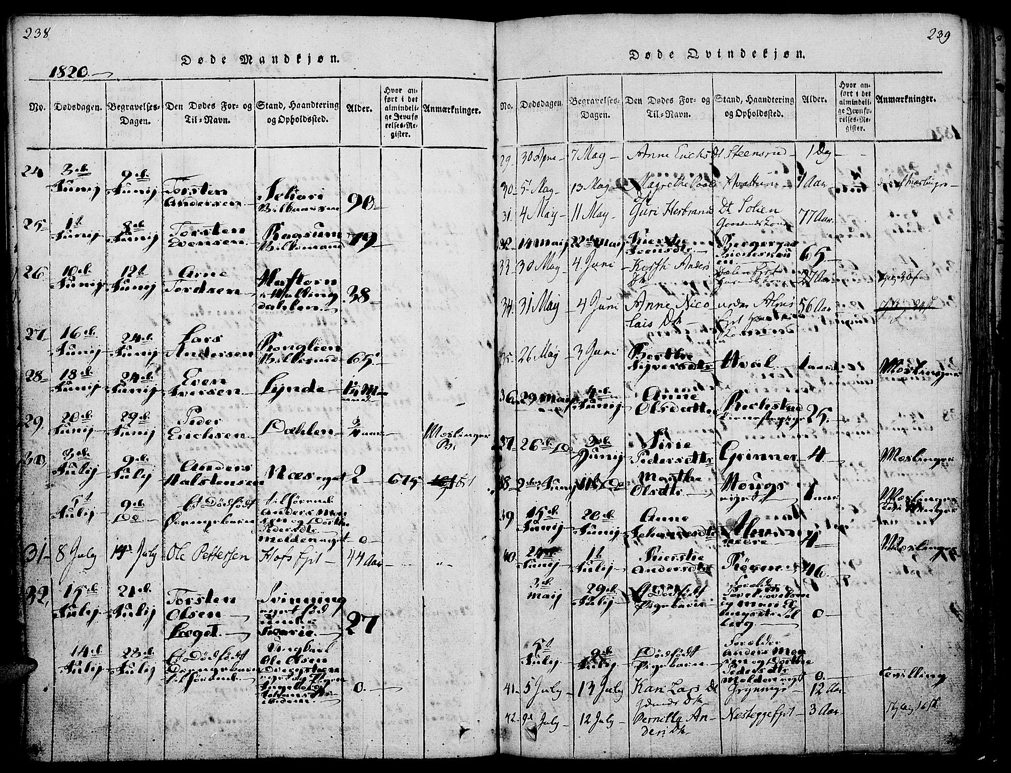 Gran prestekontor, AV/SAH-PREST-112/H/Ha/Haa/L0009: Parish register (official) no. 9, 1815-1824, p. 238-239