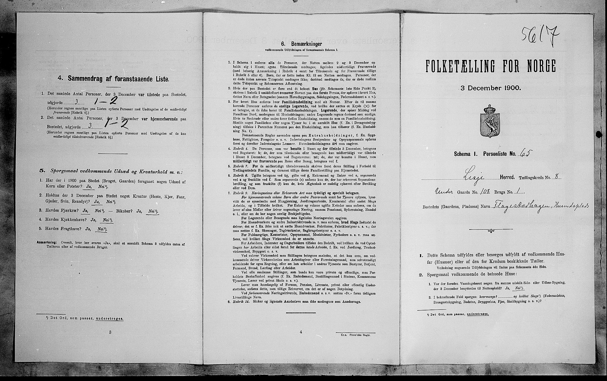 SAH, 1900 census for Lesja, 1900, p. 737