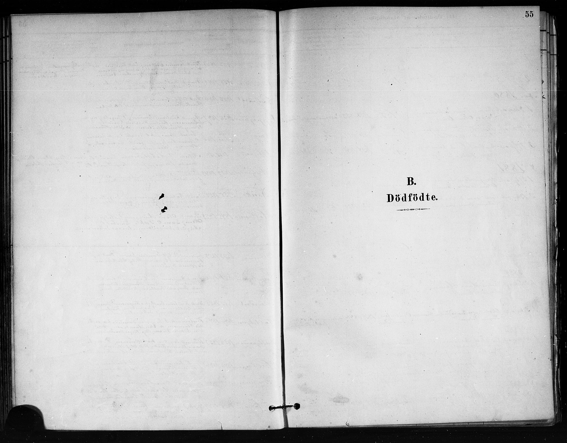 Tjøme kirkebøker, SAKO/A-328/F/Fa/L0001: Parish register (official) no. 1, 1879-1890, p. 55