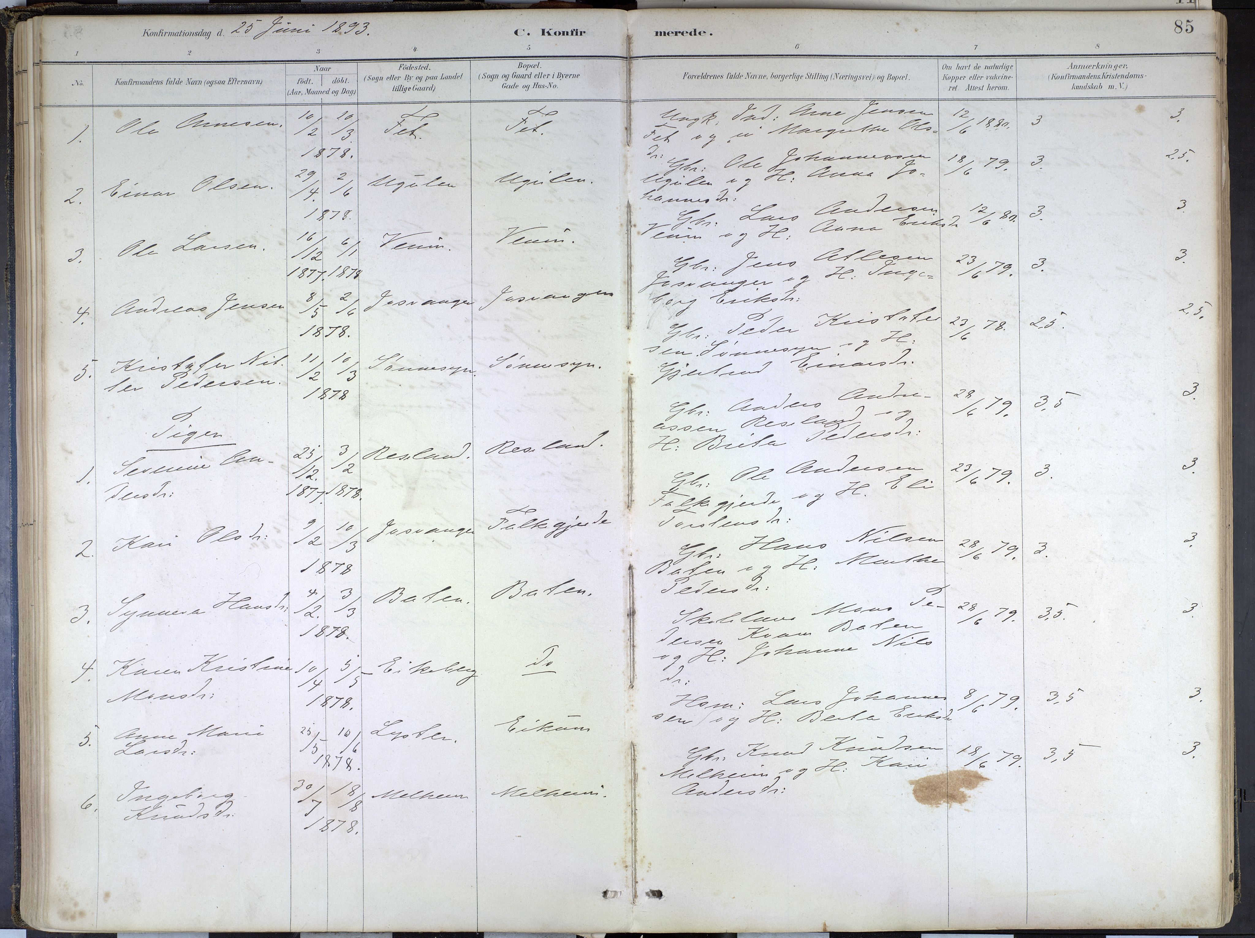 Hafslo sokneprestembete, SAB/A-80301/H/Haa/Haad/L0001: Parish register (official) no. D 1, 1886-1934, p. 85