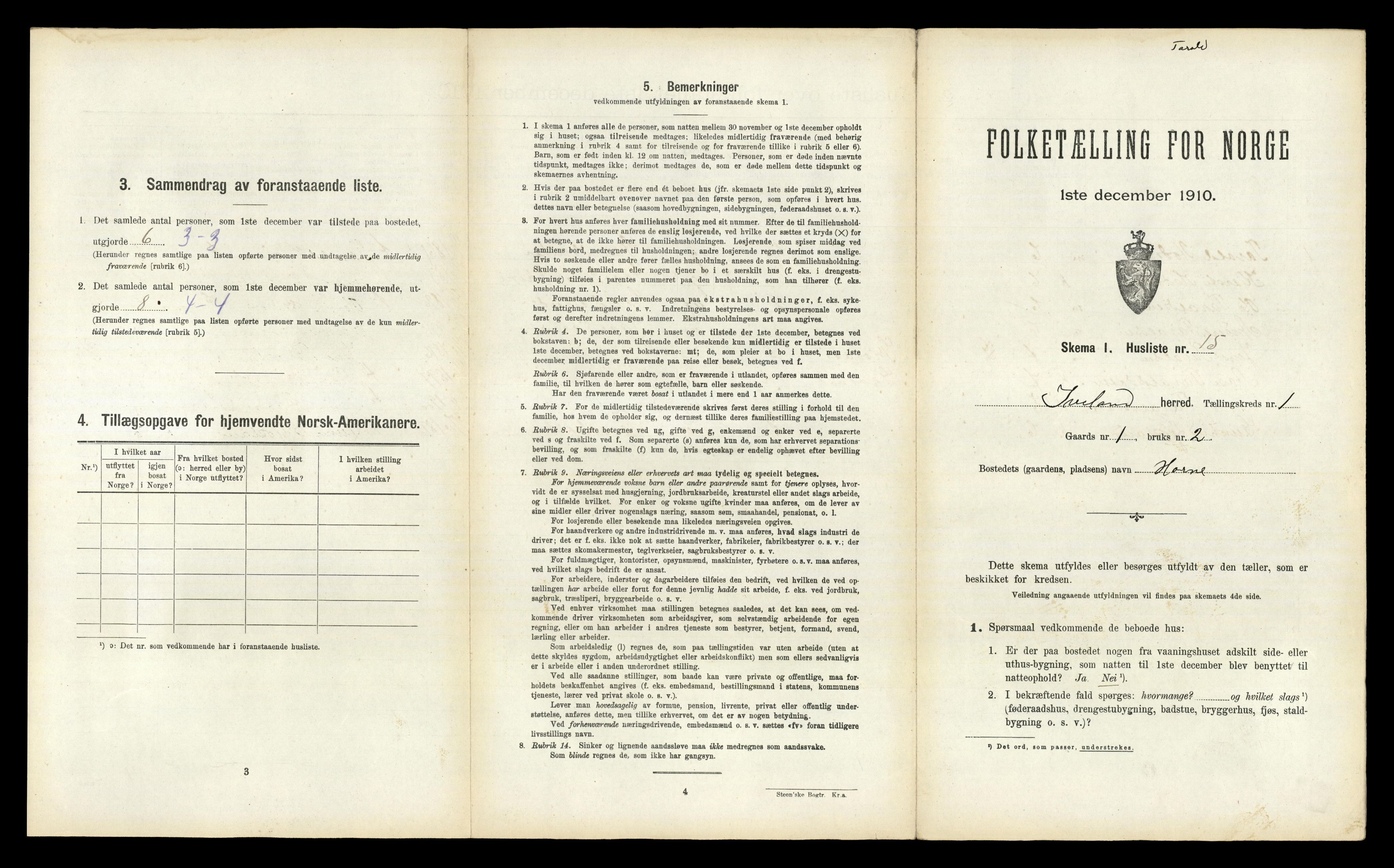 RA, 1910 census for Iveland, 1910, p. 61