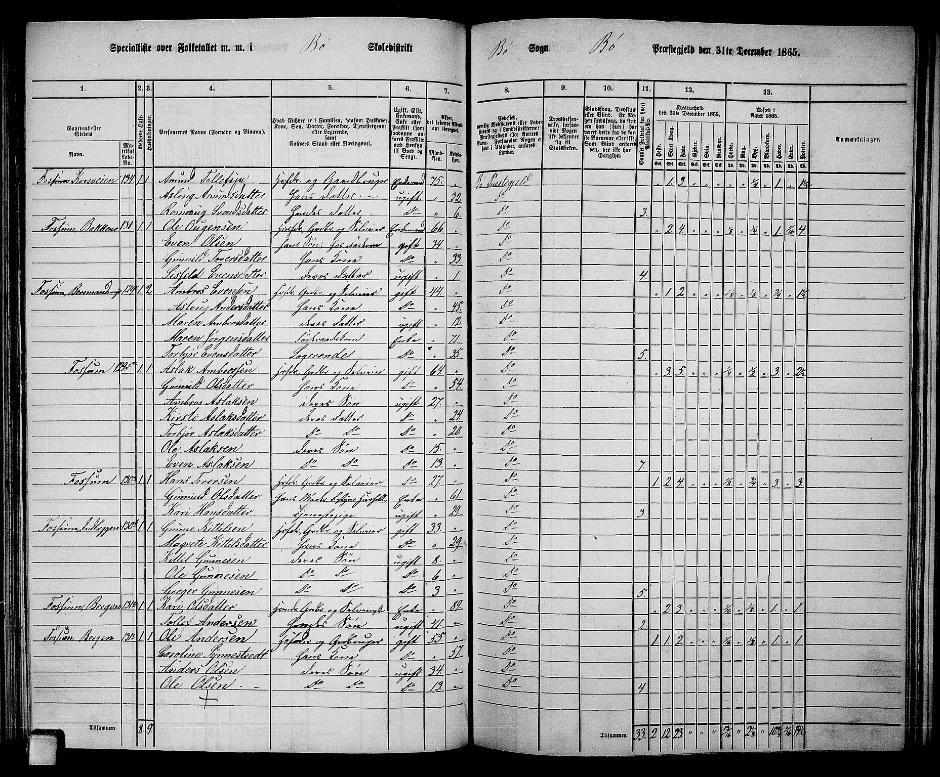 RA, 1865 census for Bø, 1865, p. 107