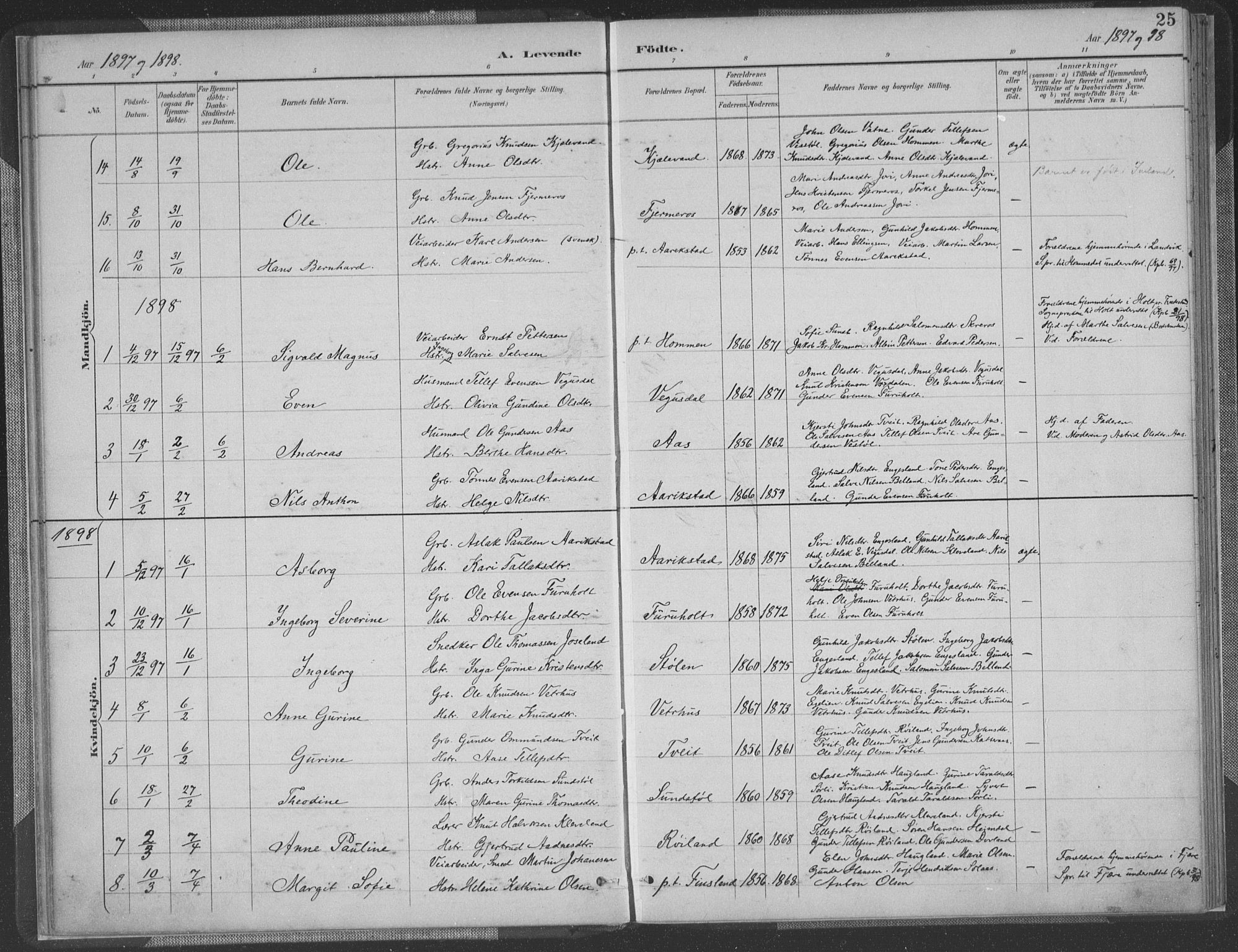 Herefoss sokneprestkontor, SAK/1111-0019/F/Fa/Fab/L0004: Parish register (official) no. A 4, 1887-1909, p. 25