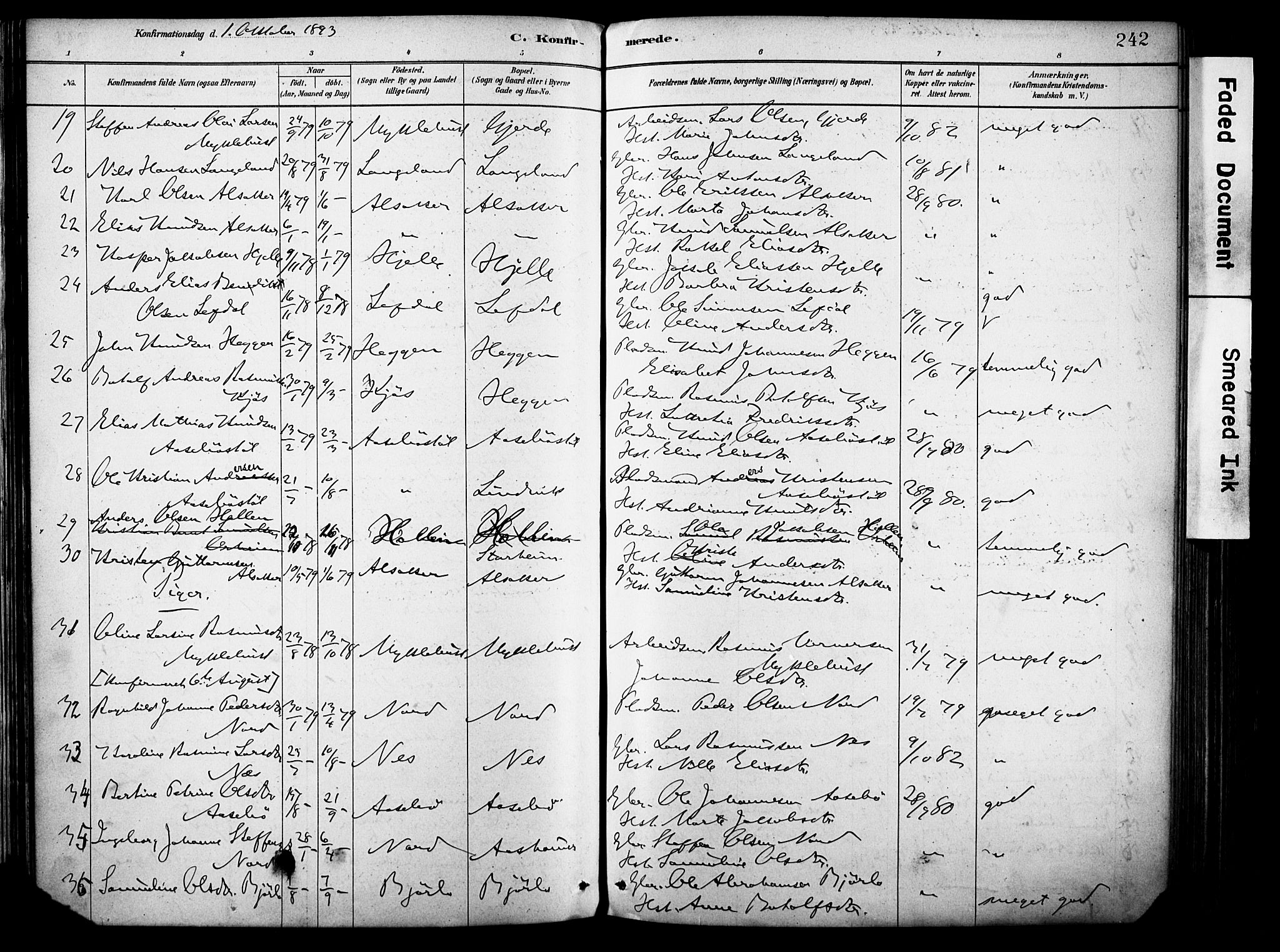 Eid sokneprestembete, AV/SAB-A-82301/H/Haa/Haab/L0001: Parish register (official) no. B 1, 1879-1906, p. 242