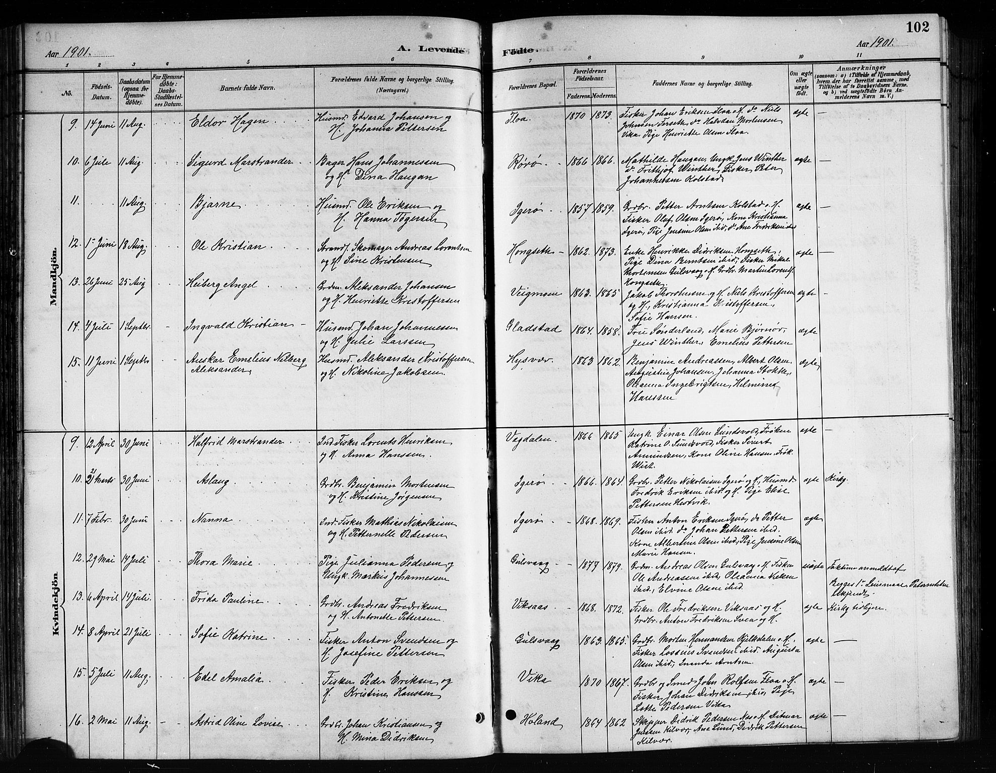 Ministerialprotokoller, klokkerbøker og fødselsregistre - Nordland, AV/SAT-A-1459/816/L0253: Parish register (copy) no. 816C03, 1886-1905, p. 102