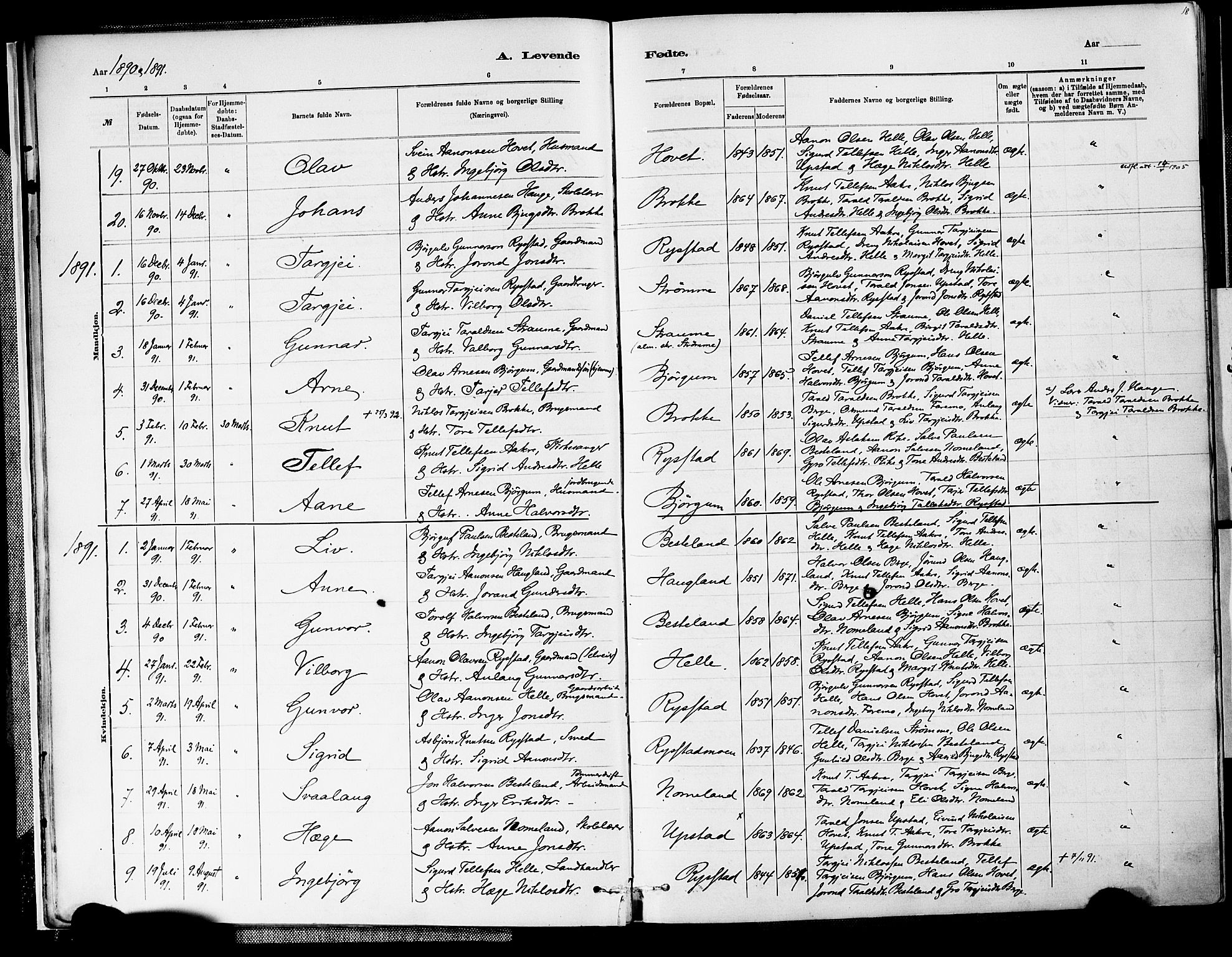 Valle sokneprestkontor, SAK/1111-0044/F/Fa/Fab/L0001: Parish register (official) no. A 1, 1882-1910, p. 18