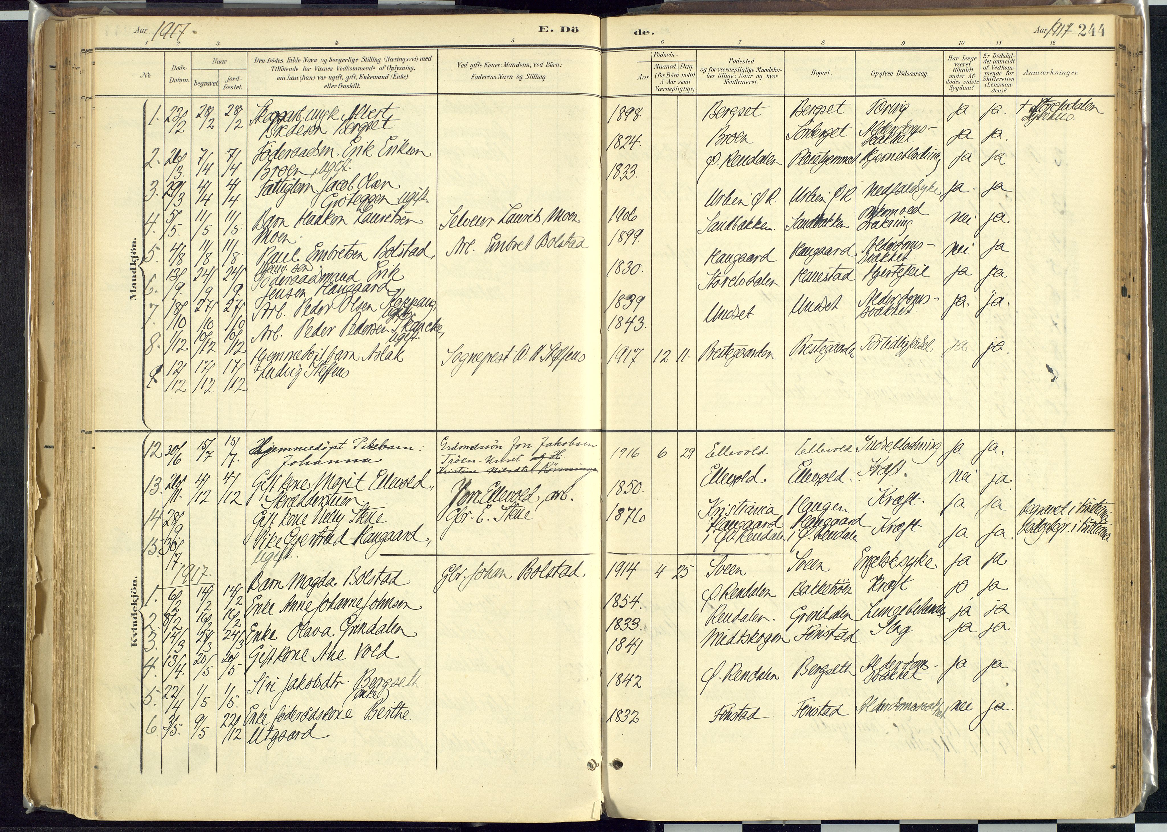 Rendalen prestekontor, AV/SAH-PREST-054/H/Ha/Haa/L0012: Parish register (official) no. 12, 1901-1928, p. 244