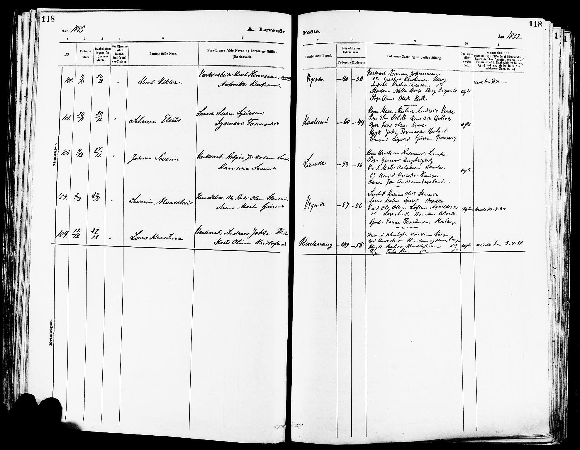 Avaldsnes sokneprestkontor, AV/SAST-A -101851/H/Ha/Haa/L0014: Parish register (official) no. A 14, 1880-1889, p. 118