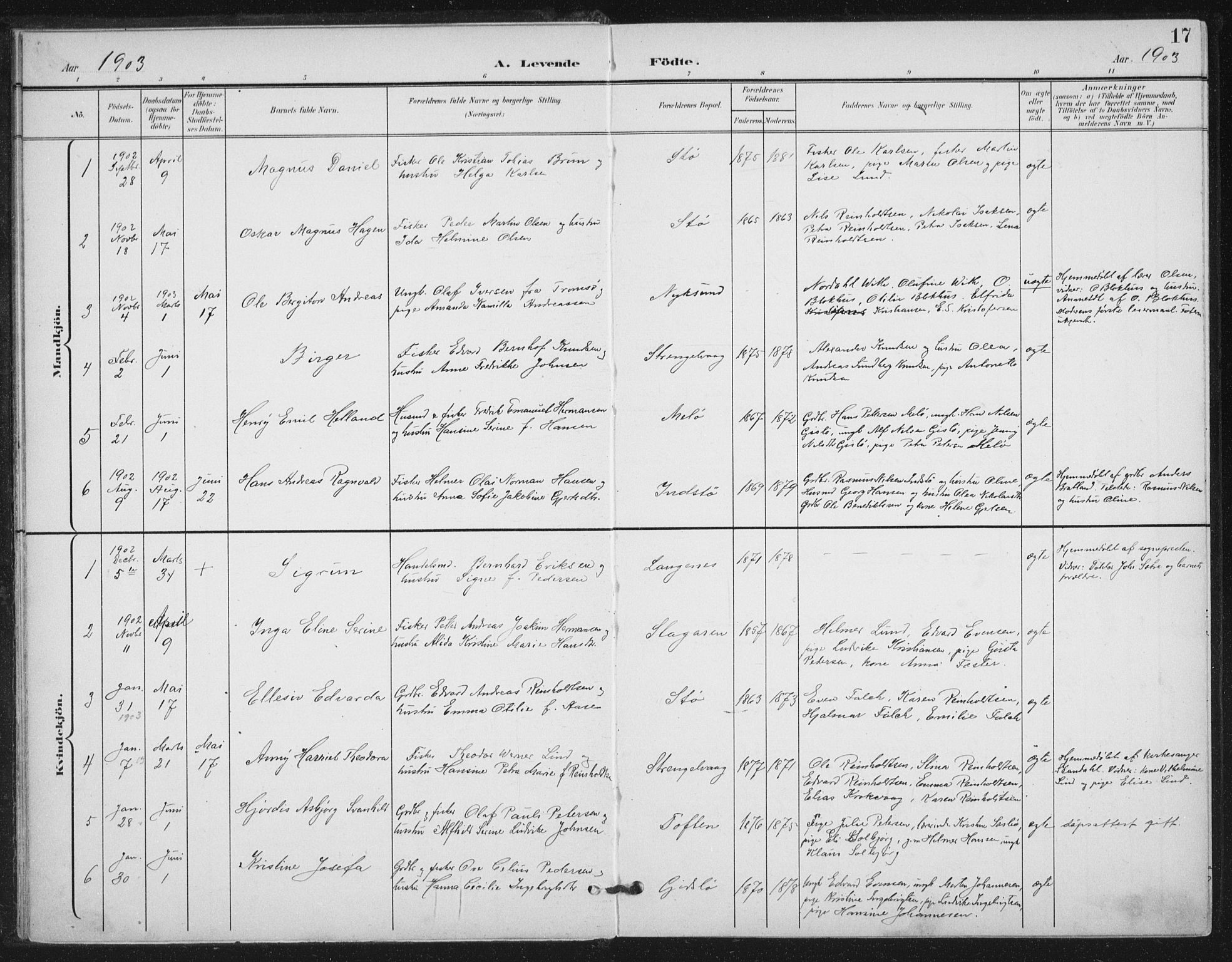 Ministerialprotokoller, klokkerbøker og fødselsregistre - Nordland, AV/SAT-A-1459/894/L1356: Parish register (official) no. 894A02, 1897-1914, p. 17