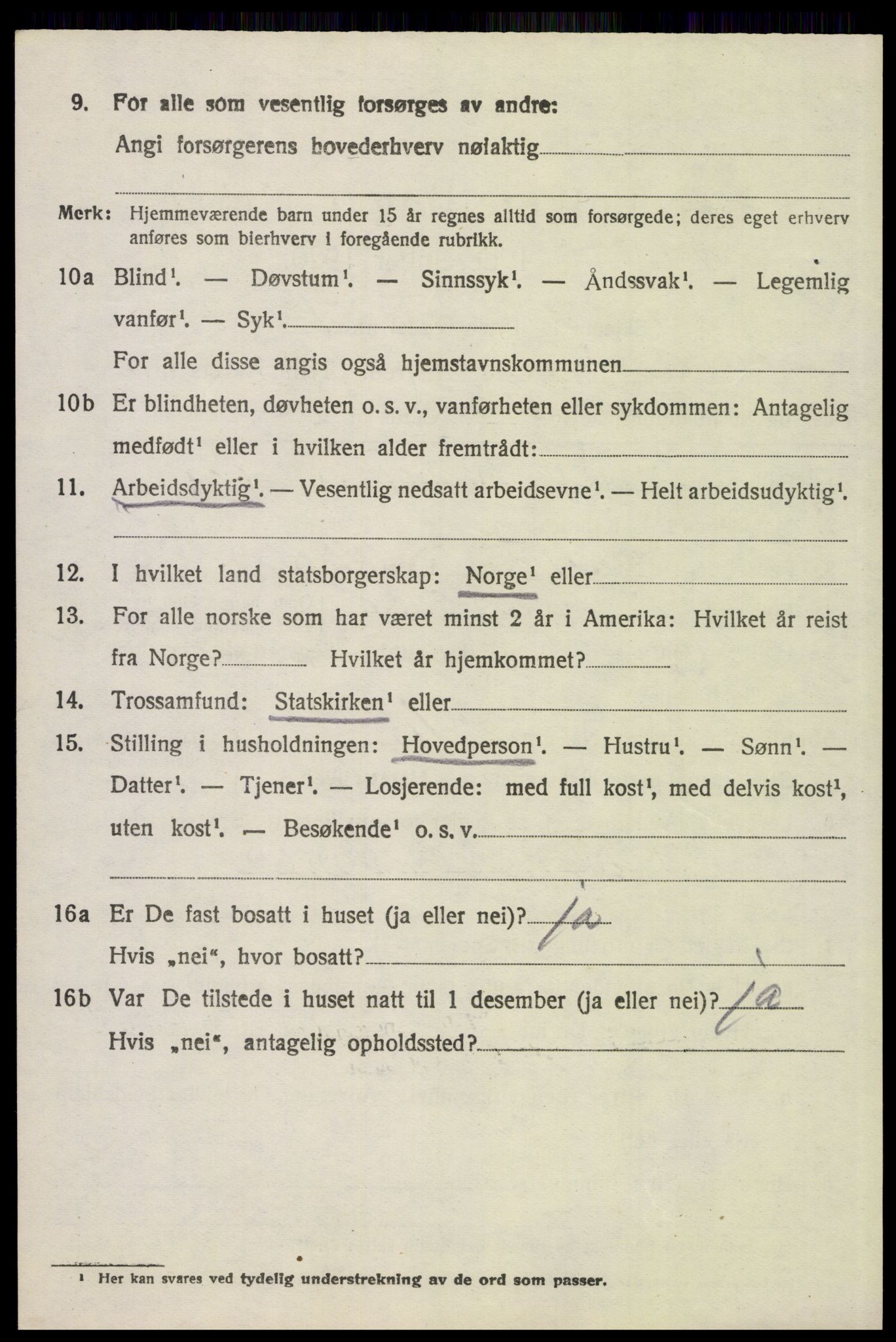 SAH, 1920 census for Åsnes, 1920, p. 13339