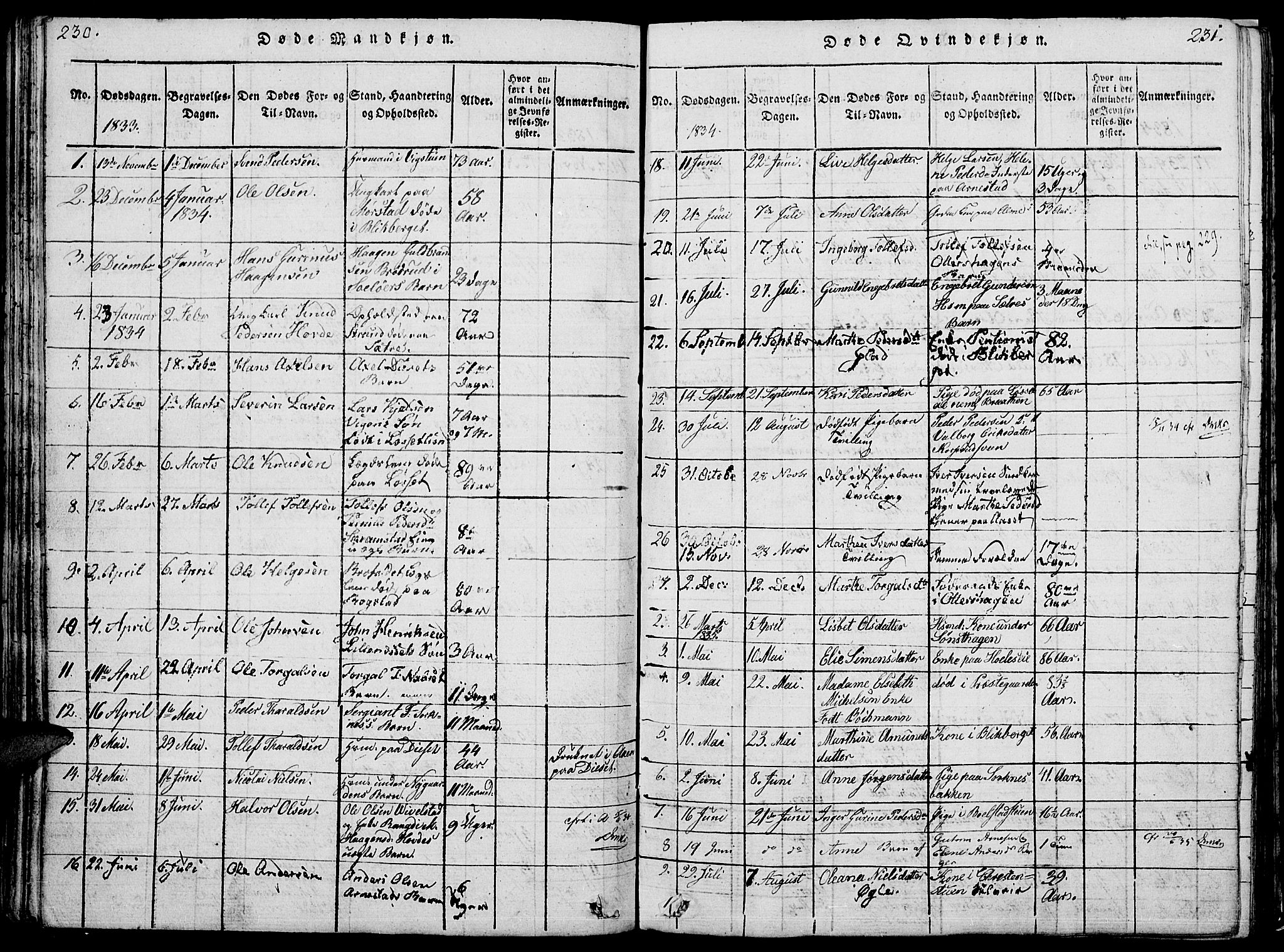 Åmot prestekontor, Hedmark, AV/SAH-PREST-056/H/Ha/Hab/L0001: Parish register (copy) no. 1, 1815-1847, p. 230-231
