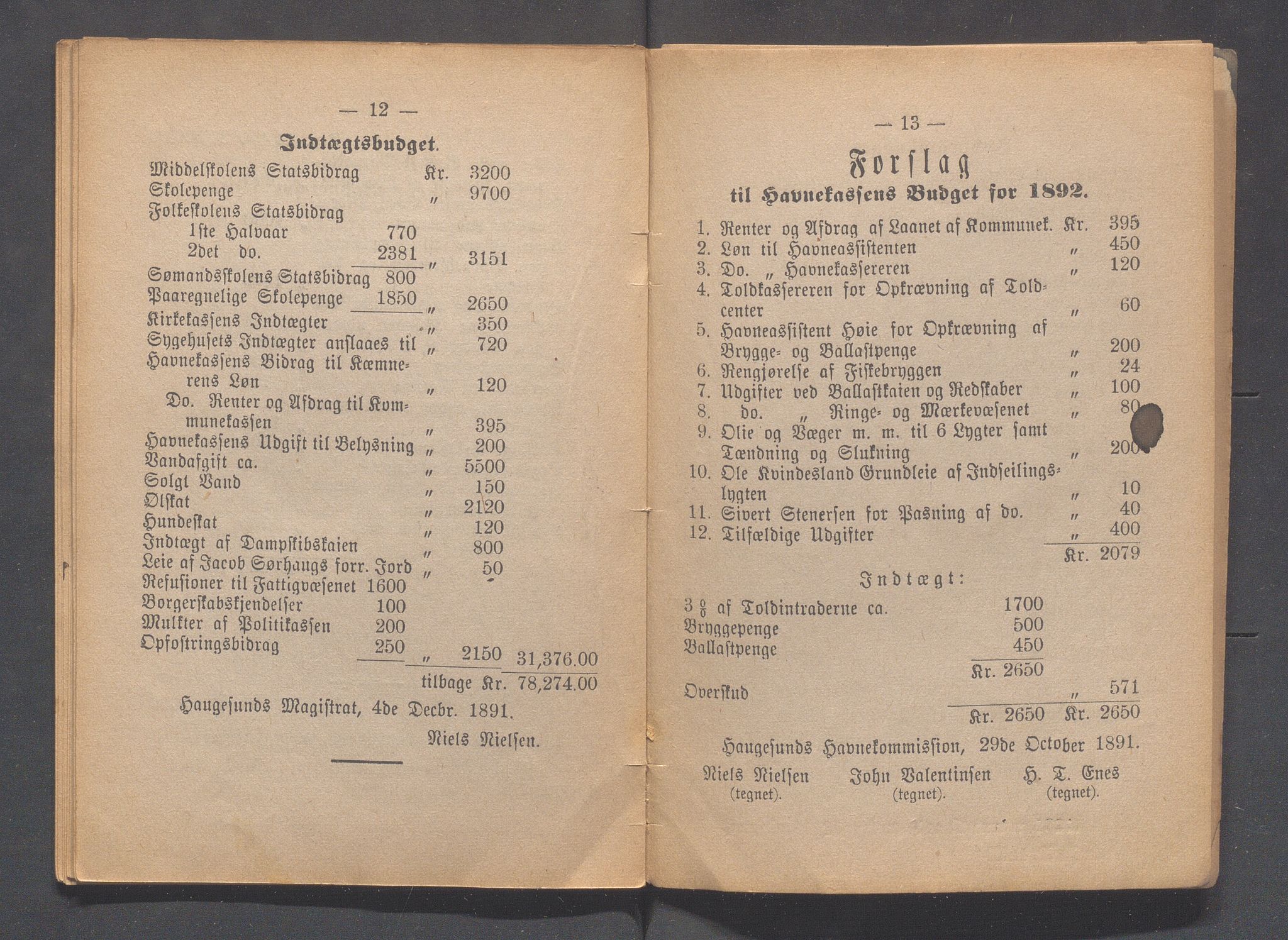 Haugesund kommune - Formannskapet og Bystyret, IKAR/A-740/A/Abb/L0001: Bystyreforhandlinger, 1889-1907, p. 103