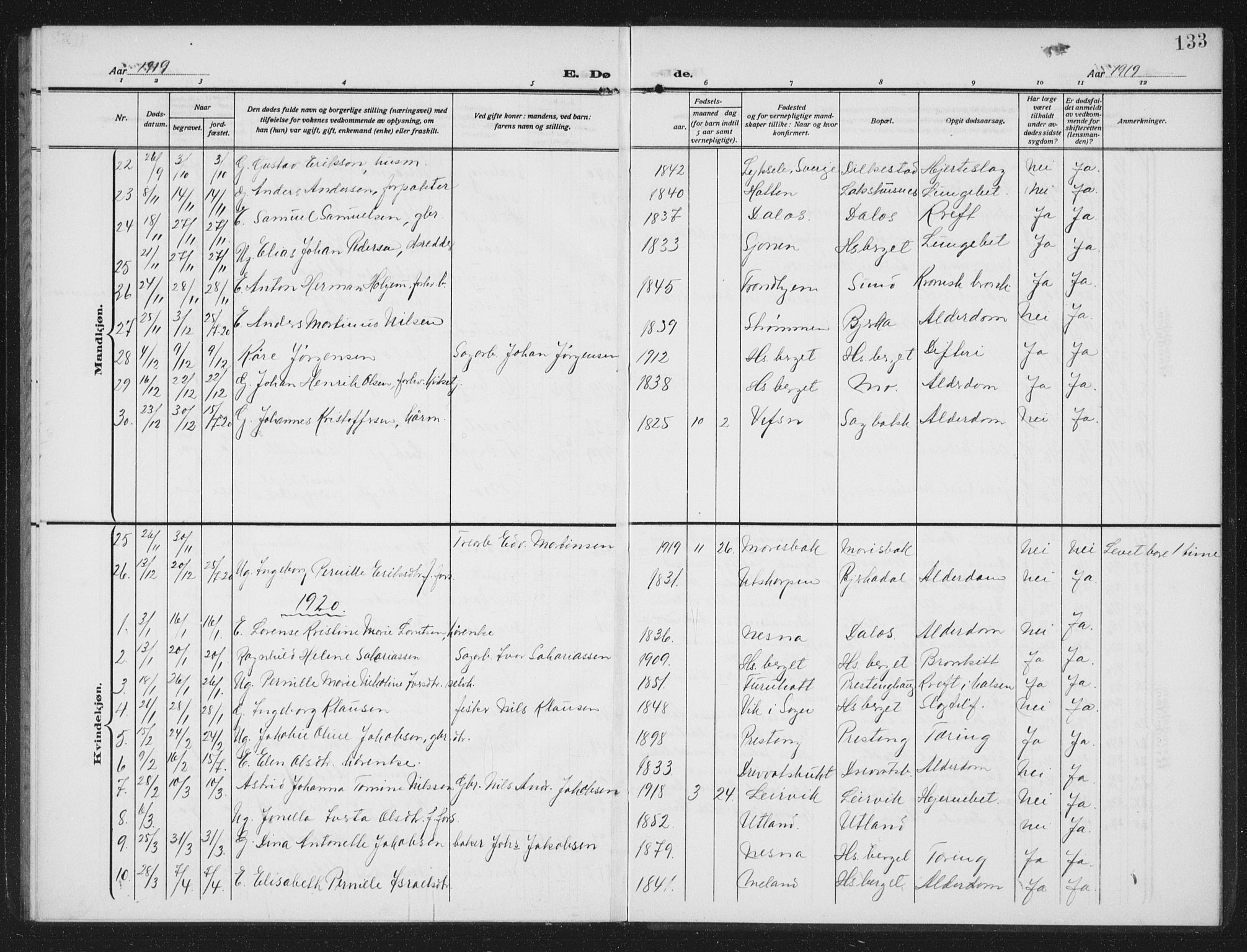 Ministerialprotokoller, klokkerbøker og fødselsregistre - Nordland, SAT/A-1459/825/L0371: Parish register (copy) no. 825C08, 1907-1940, p. 133