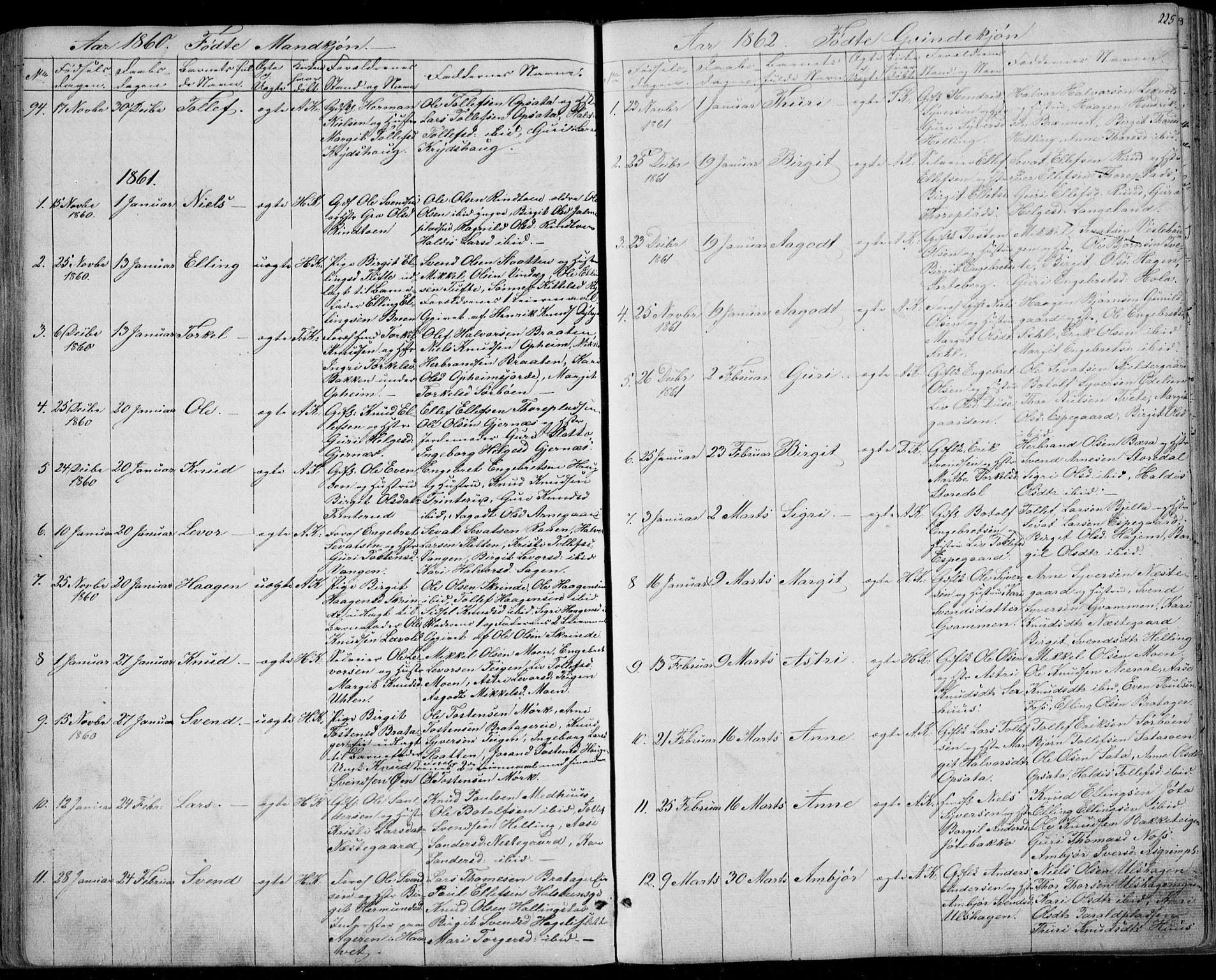 Ål kirkebøker, AV/SAKO-A-249/F/Fa/L0006: Parish register (official) no. I 6, 1849-1864, p. 225