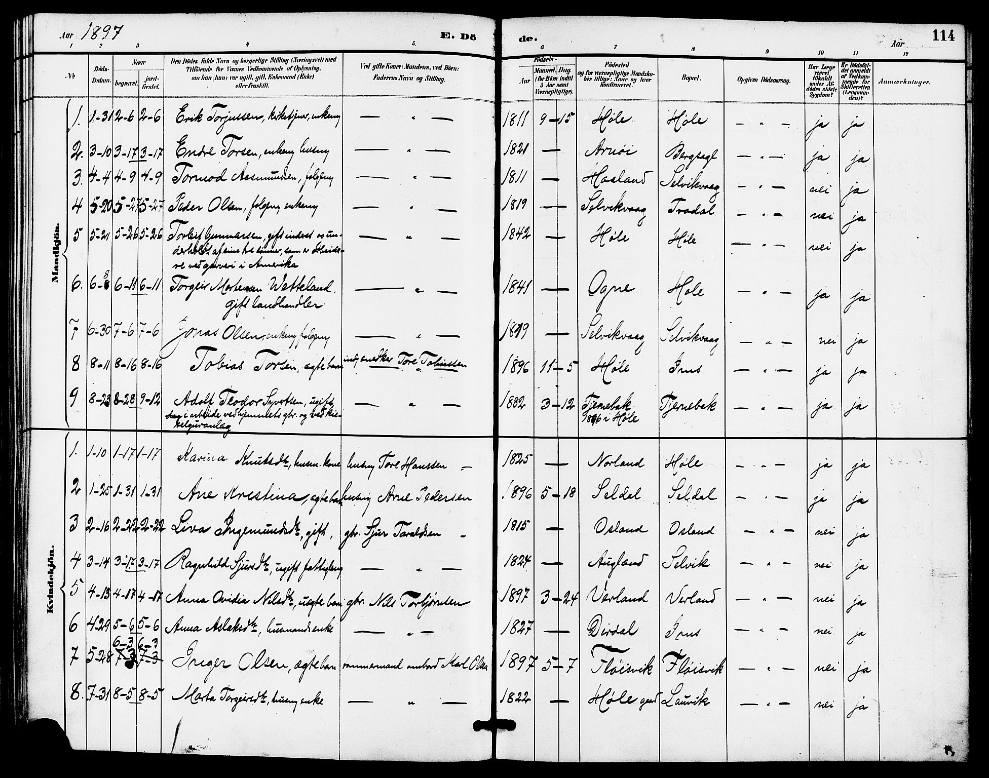 Høgsfjord sokneprestkontor, AV/SAST-A-101624/H/Ha/Haa/L0005: Parish register (official) no. A 5, 1885-1897, p. 114