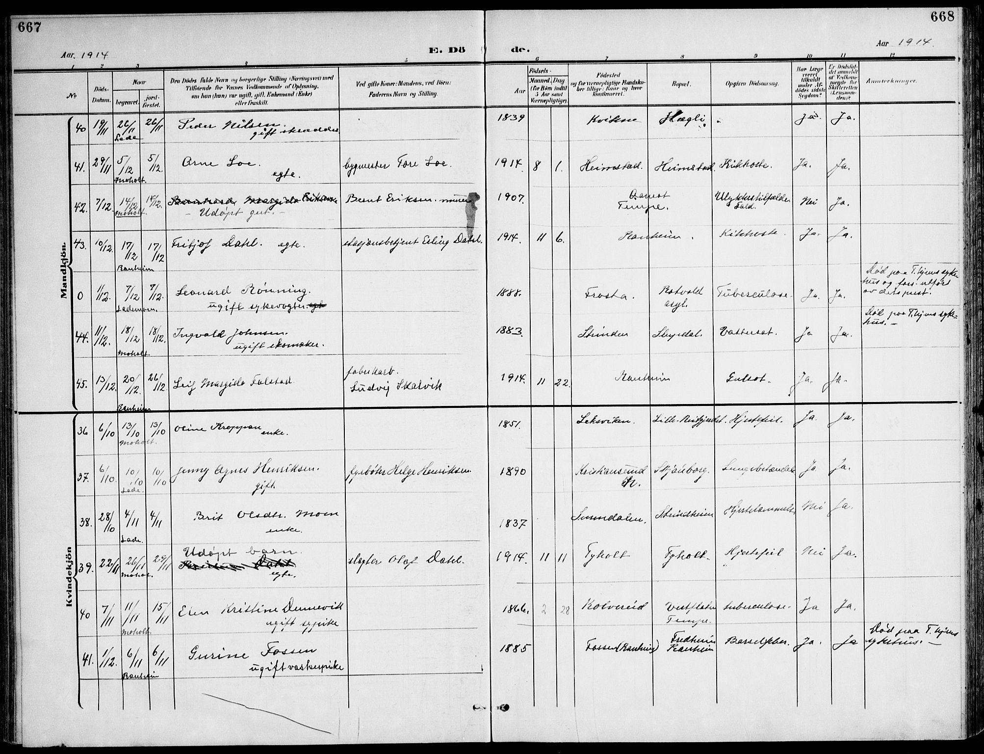 Ministerialprotokoller, klokkerbøker og fødselsregistre - Sør-Trøndelag, AV/SAT-A-1456/607/L0320: Parish register (official) no. 607A04, 1907-1915, p. 667-668