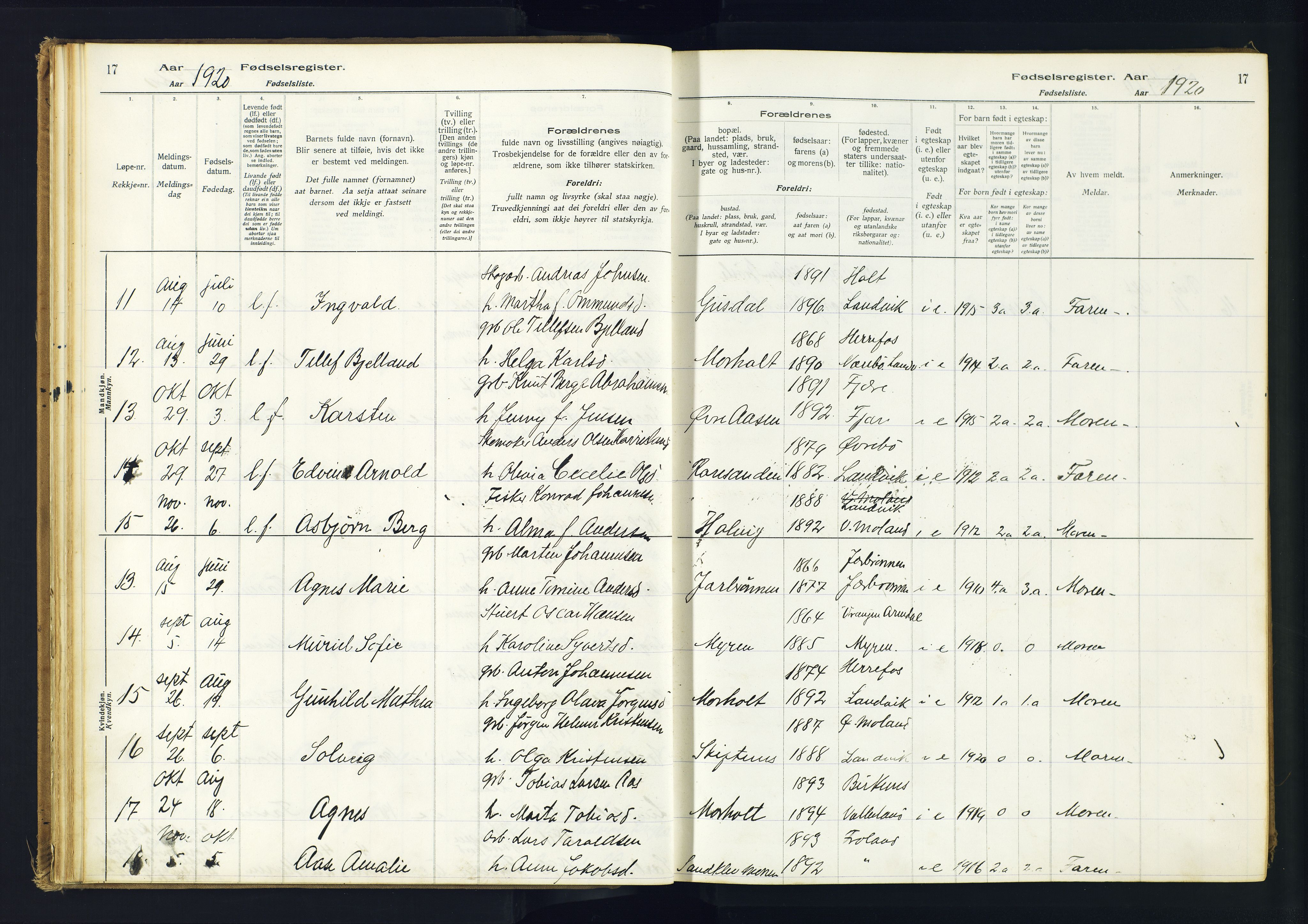 Hommedal sokneprestkontor, AV/SAK-1111-0023/J/Jd/L0001: Birth register no. 1, 1916-1962, p. 17