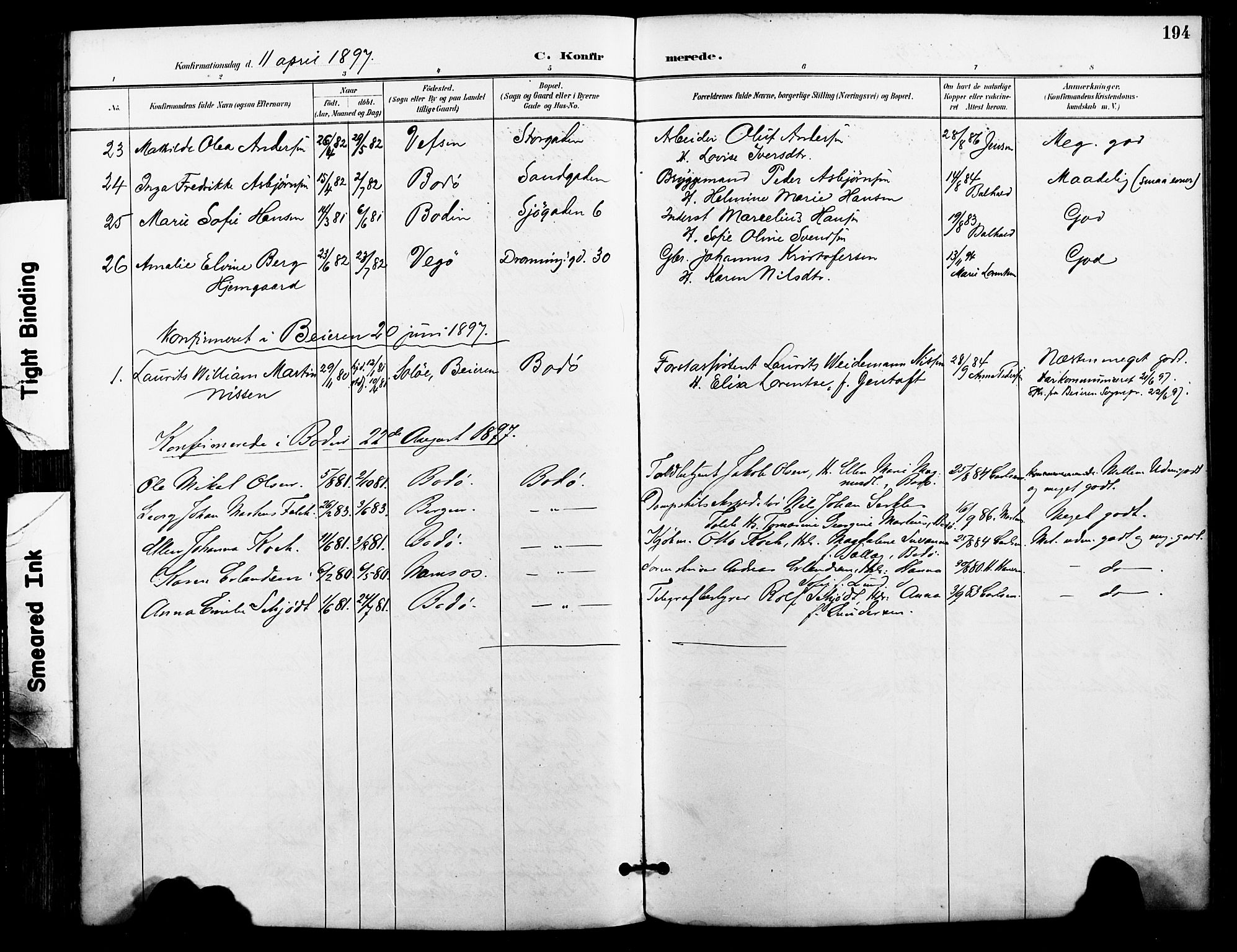 Ministerialprotokoller, klokkerbøker og fødselsregistre - Nordland, AV/SAT-A-1459/801/L0010: Parish register (official) no. 801A10, 1888-1899, p. 194