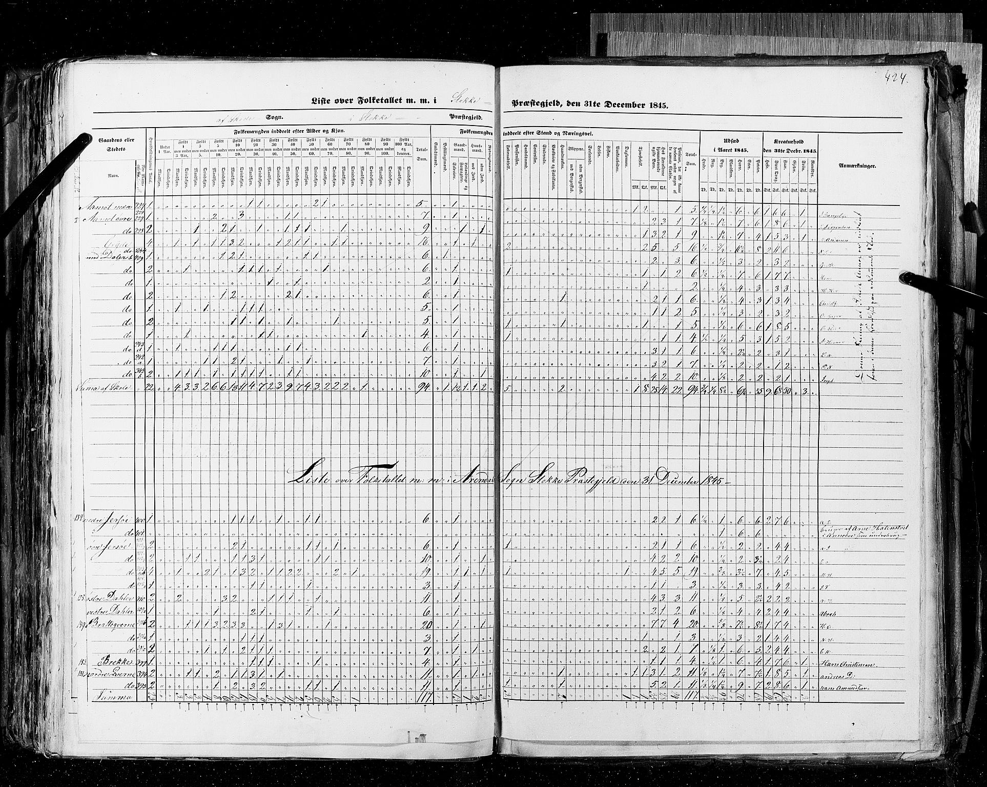 RA, Census 1845, vol. 4: Buskerud amt og Jarlsberg og Larvik amt, 1845, p. 424