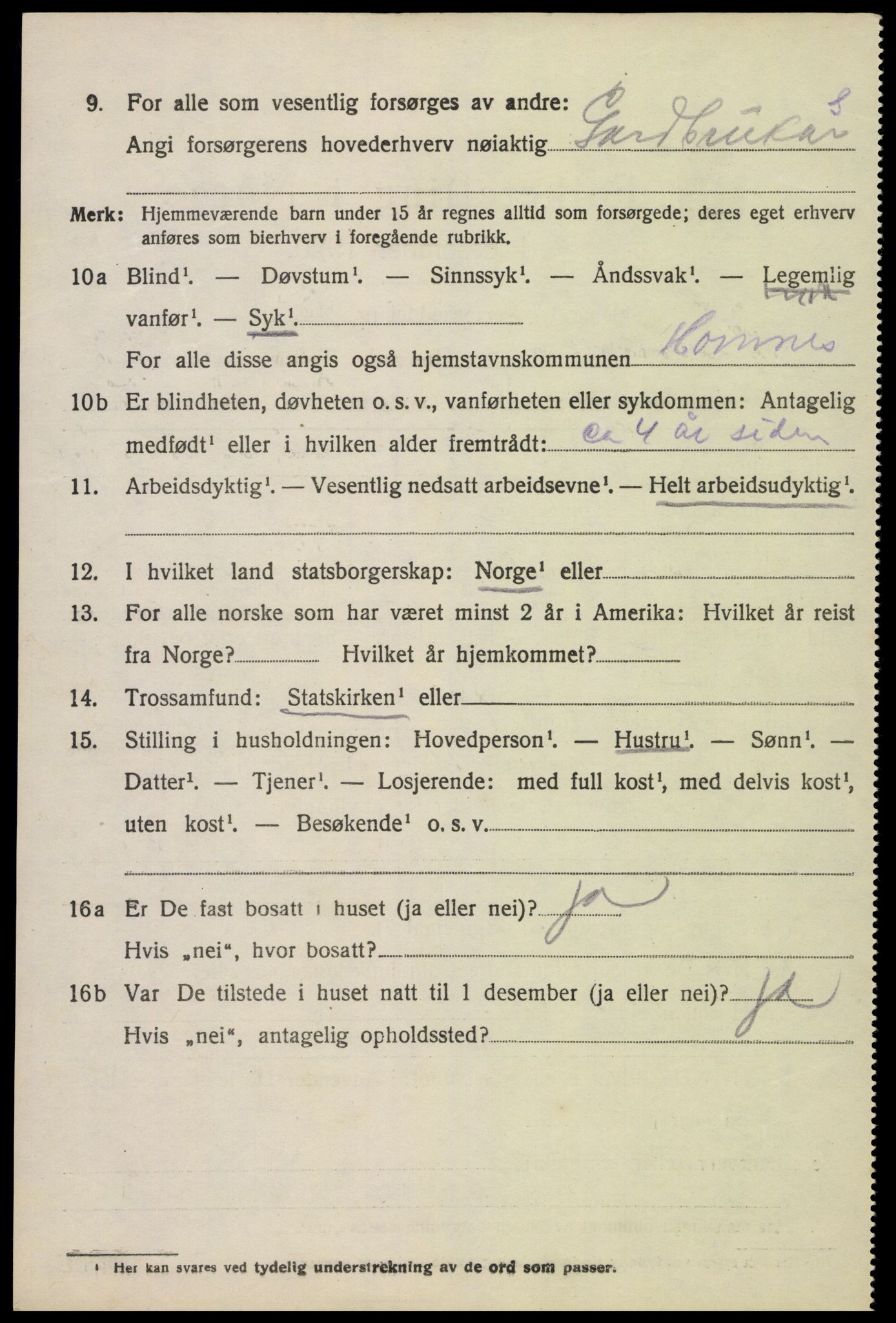 SAK, 1920 census for Hornnes, 1920, p. 3242