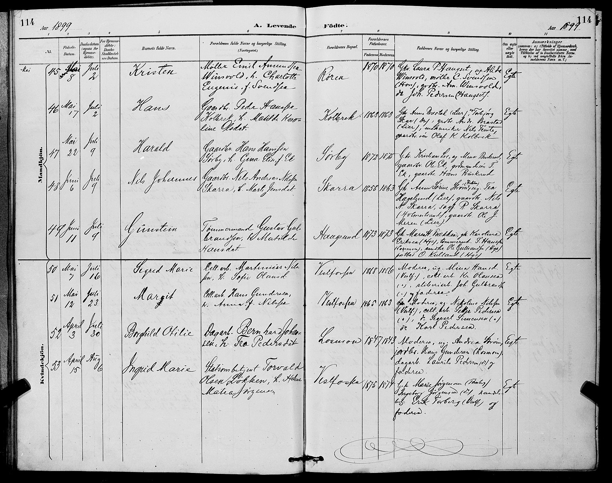 Eiker kirkebøker, AV/SAKO-A-4/G/Ga/L0007: Parish register (copy) no. I 7, 1893-1902, p. 114