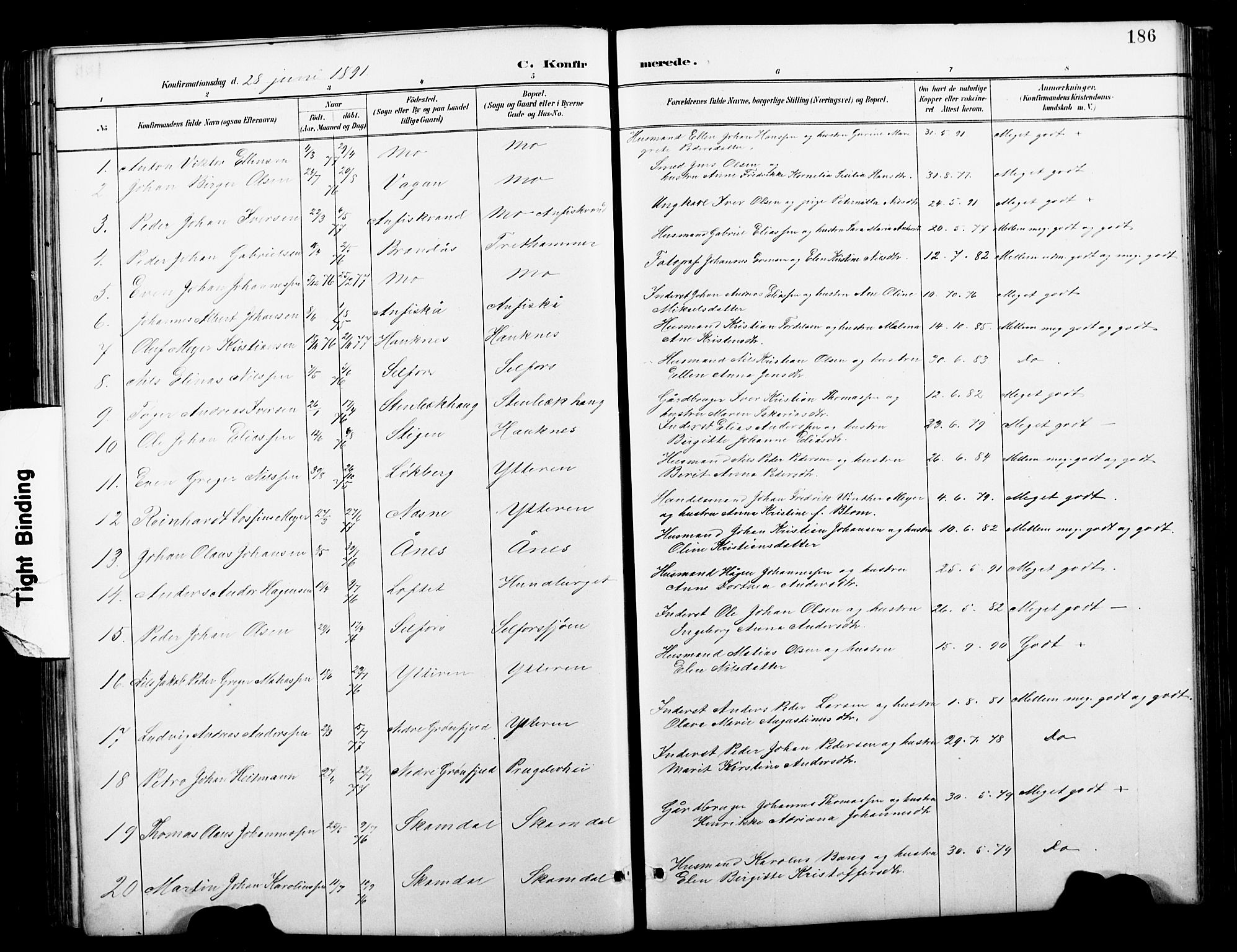 Ministerialprotokoller, klokkerbøker og fødselsregistre - Nordland, AV/SAT-A-1459/827/L0421: Parish register (copy) no. 827C10, 1887-1906, p. 186