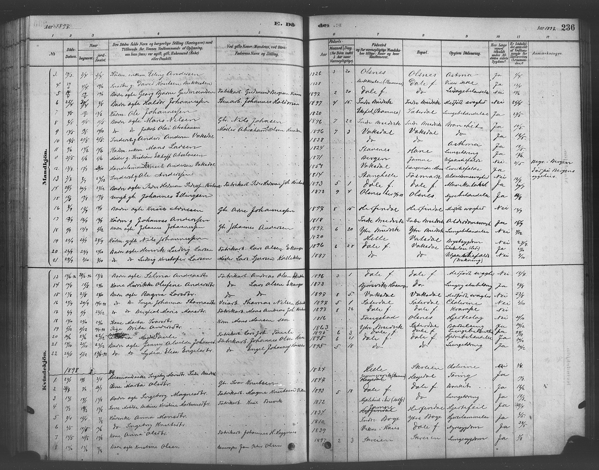 Bruvik Sokneprestembete, SAB/A-74701/H/Hab: Parish register (copy) no. A 1, 1878-1907, p. 236