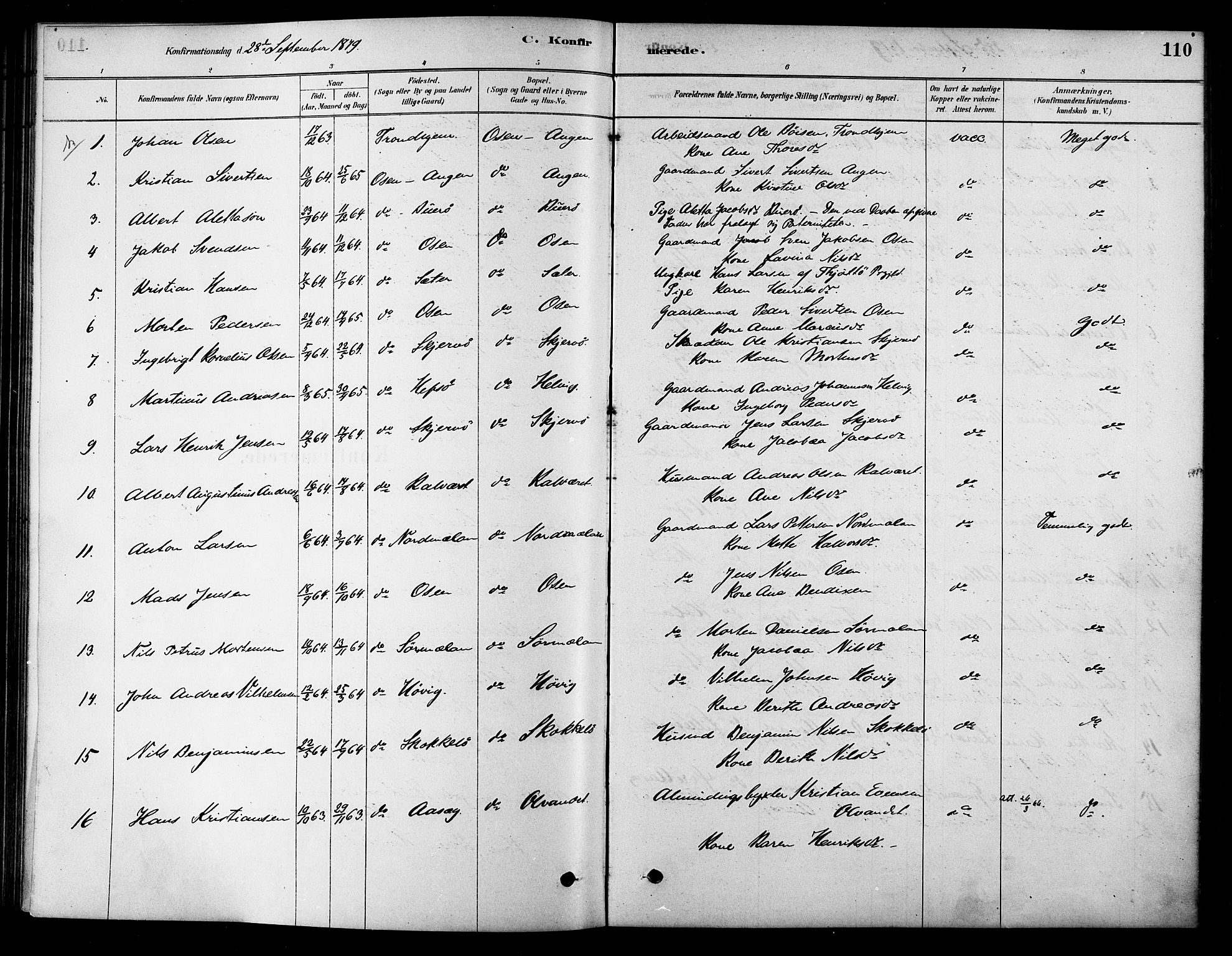 Ministerialprotokoller, klokkerbøker og fødselsregistre - Sør-Trøndelag, SAT/A-1456/658/L0722: Parish register (official) no. 658A01, 1879-1896, p. 110