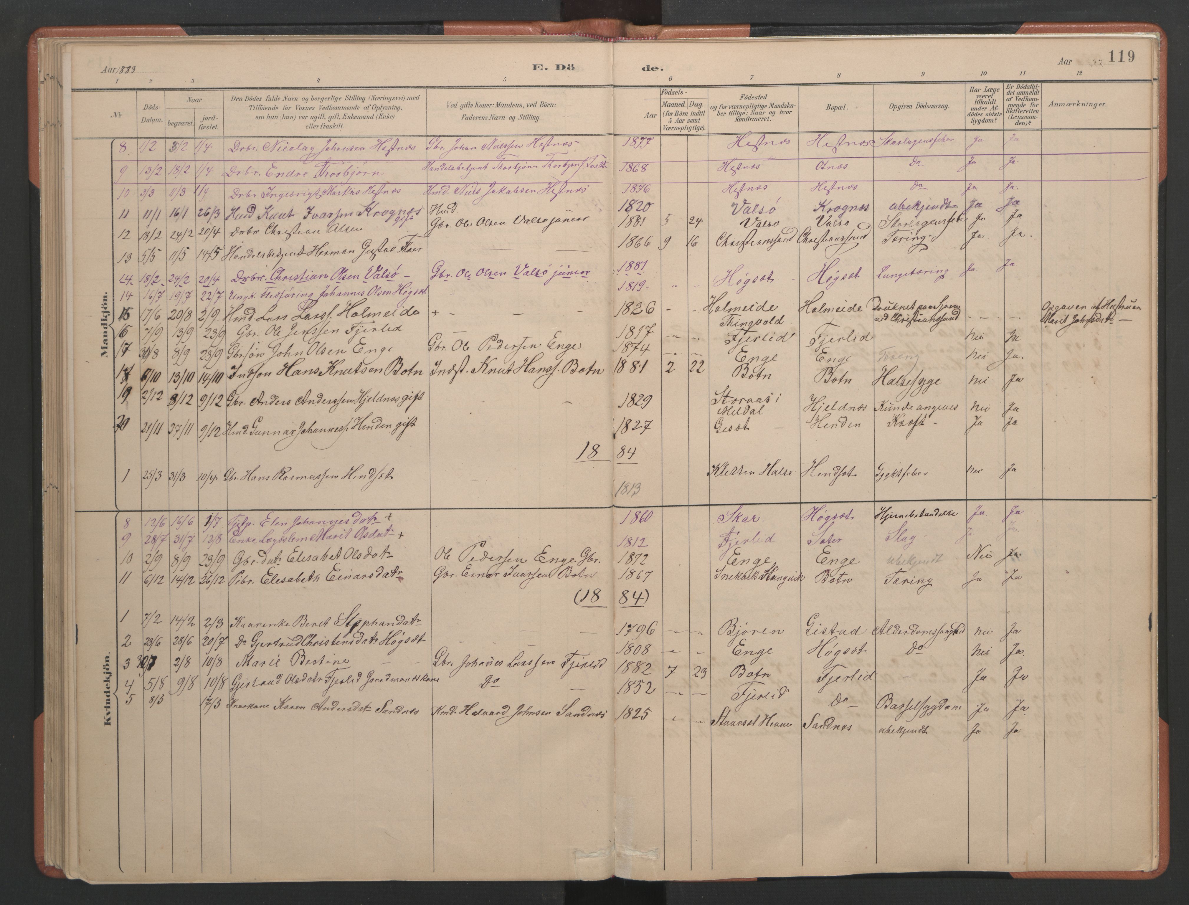 Ministerialprotokoller, klokkerbøker og fødselsregistre - Møre og Romsdal, AV/SAT-A-1454/580/L0926: Parish register (copy) no. 580C01, 1882-1903, p. 119