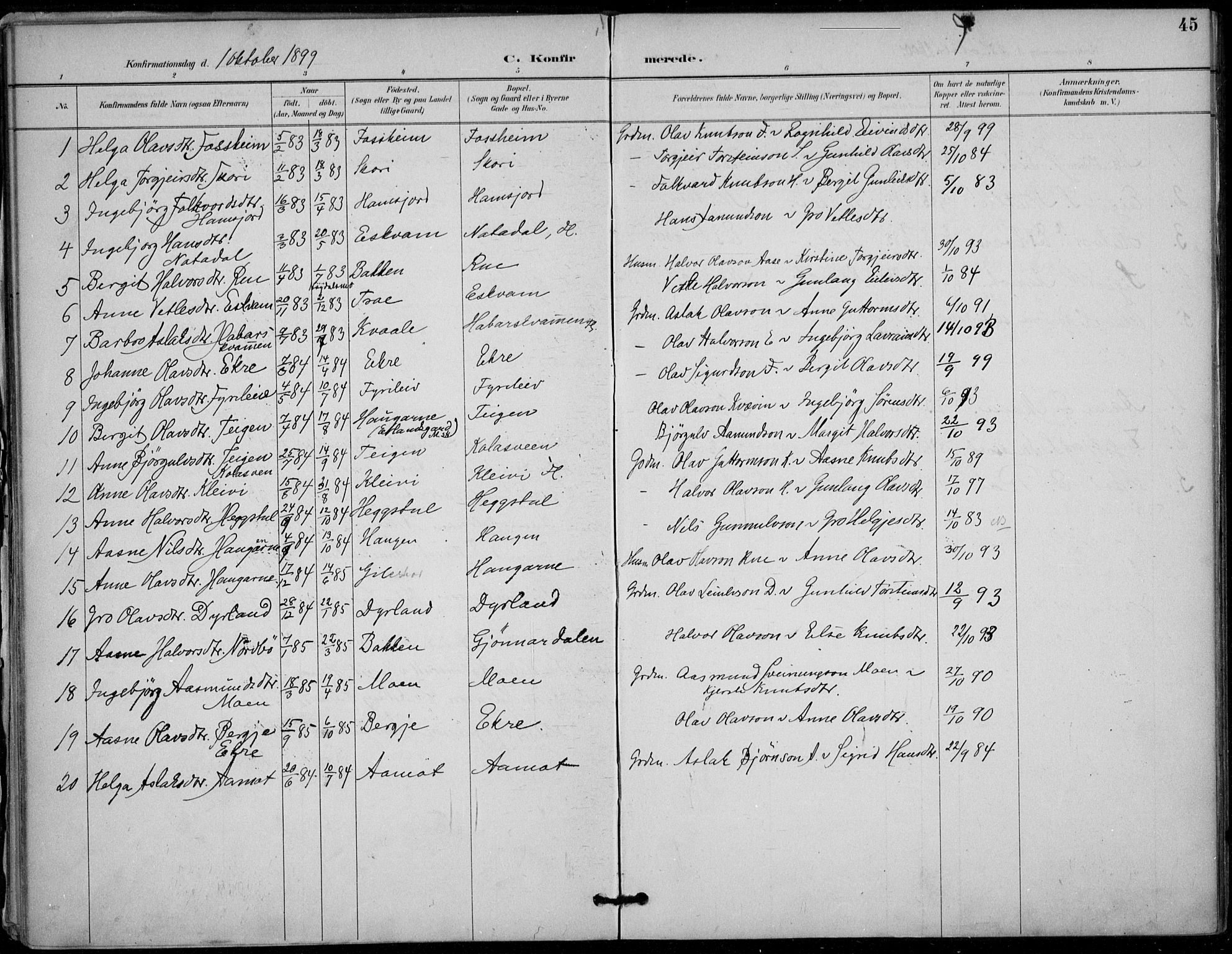 Seljord kirkebøker, SAKO/A-20/F/Fc/L0002: Parish register (official) no. III 2, 1887-1920, p. 45