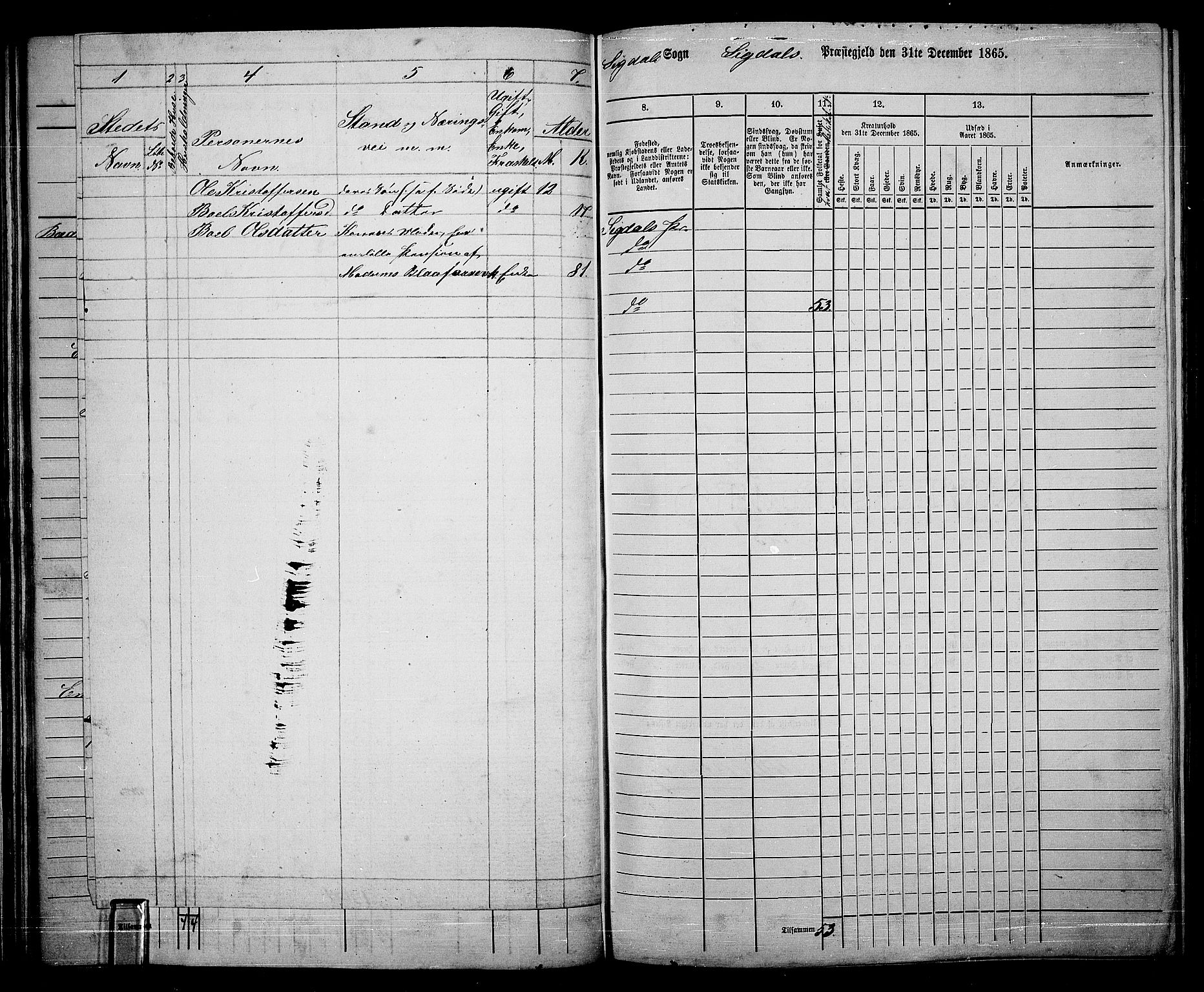 RA, 1865 census for Sigdal, 1865, p. 69