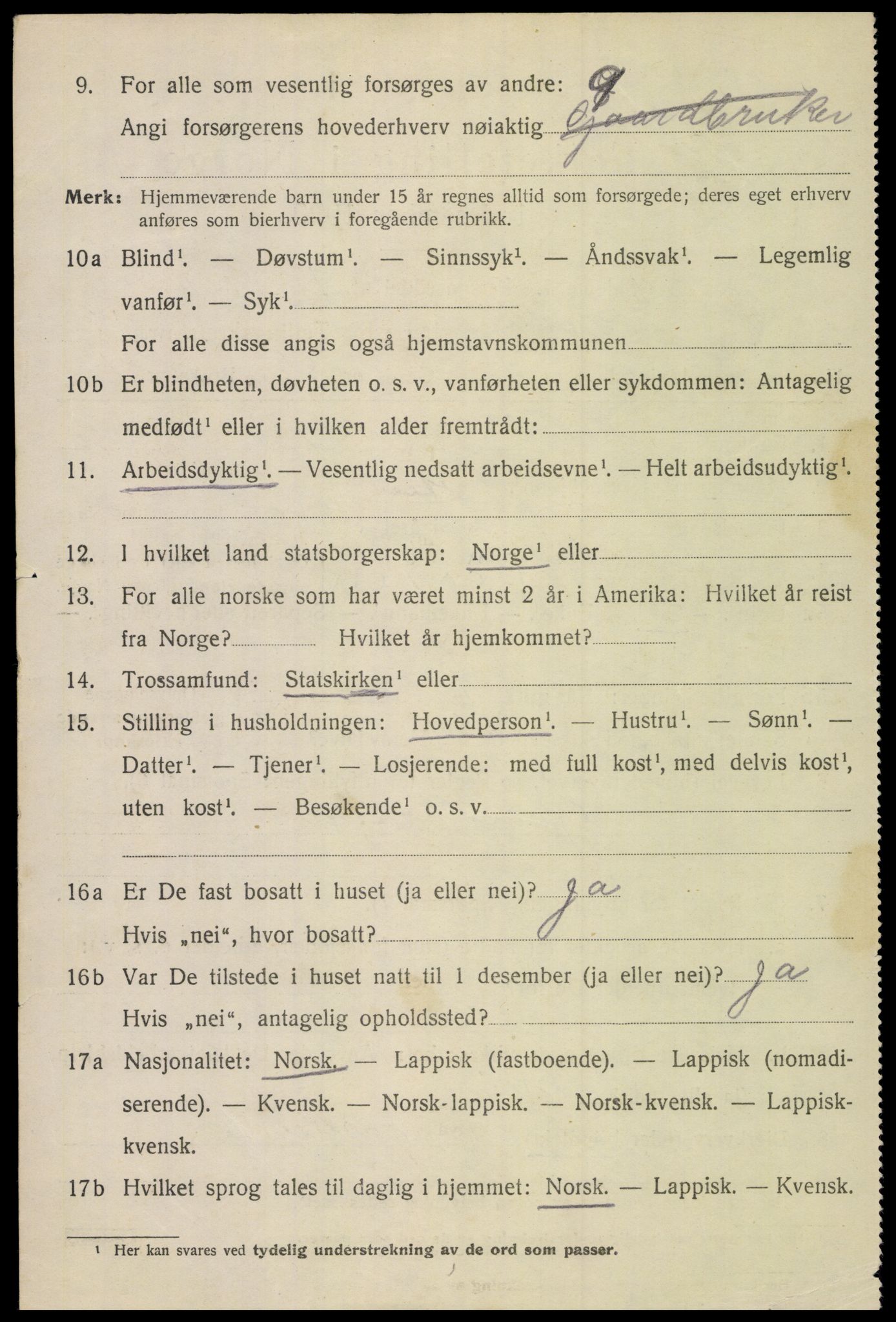 SAT, 1920 census for Bodin, 1920, p. 12847