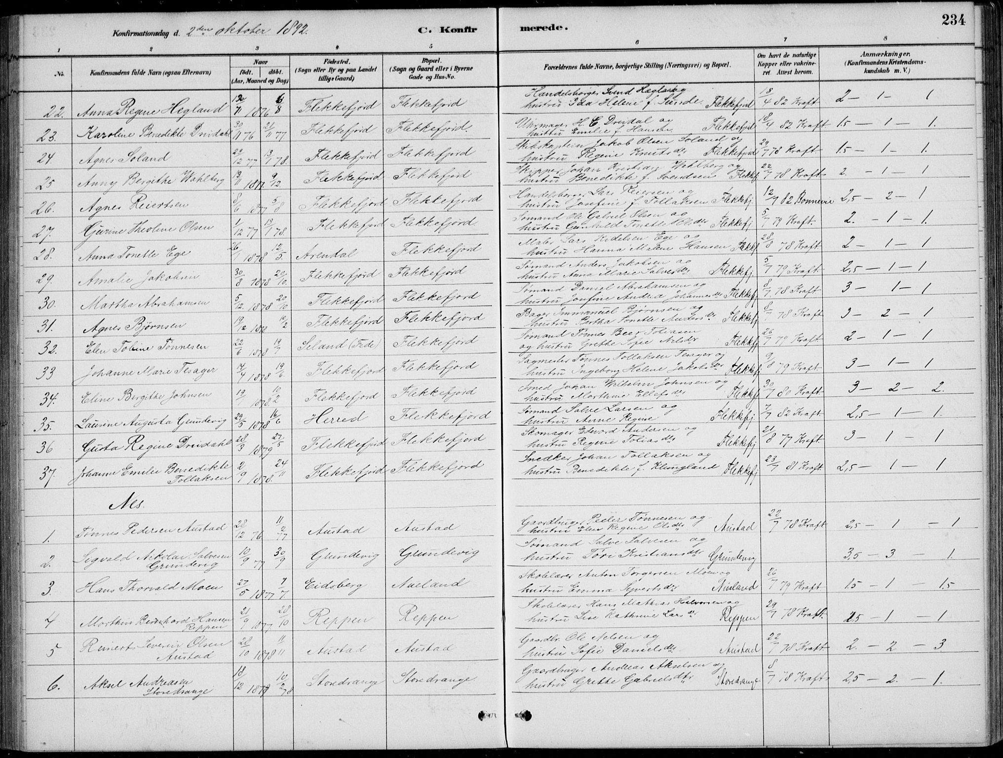 Flekkefjord sokneprestkontor, SAK/1111-0012/F/Fb/Fbc/L0007: Parish register (copy) no. B 7, 1880-1902, p. 234